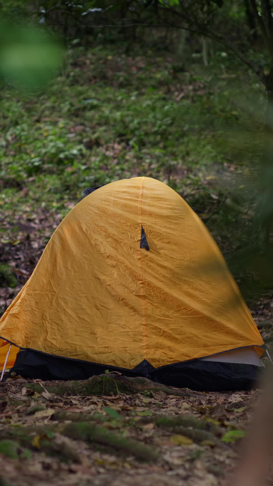 Bölüm 1
