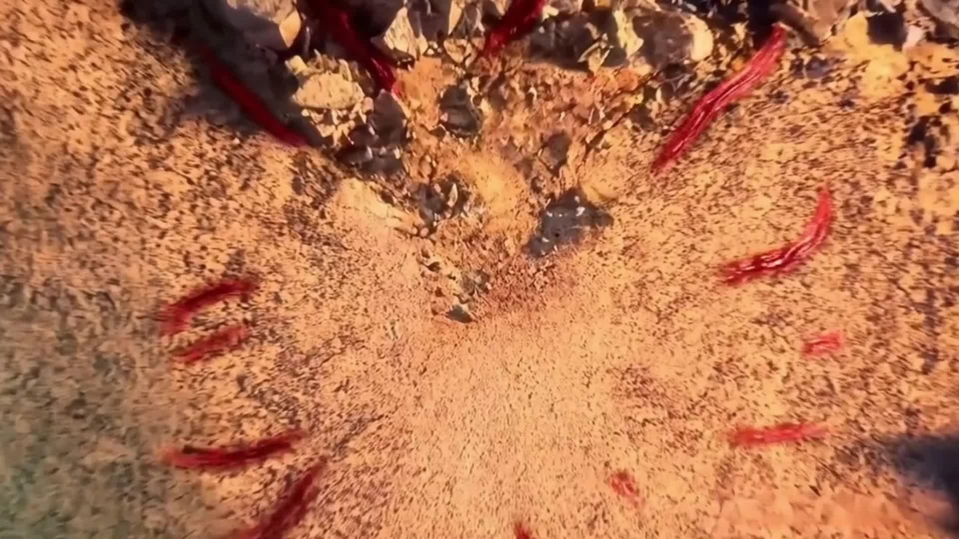 Episode 26