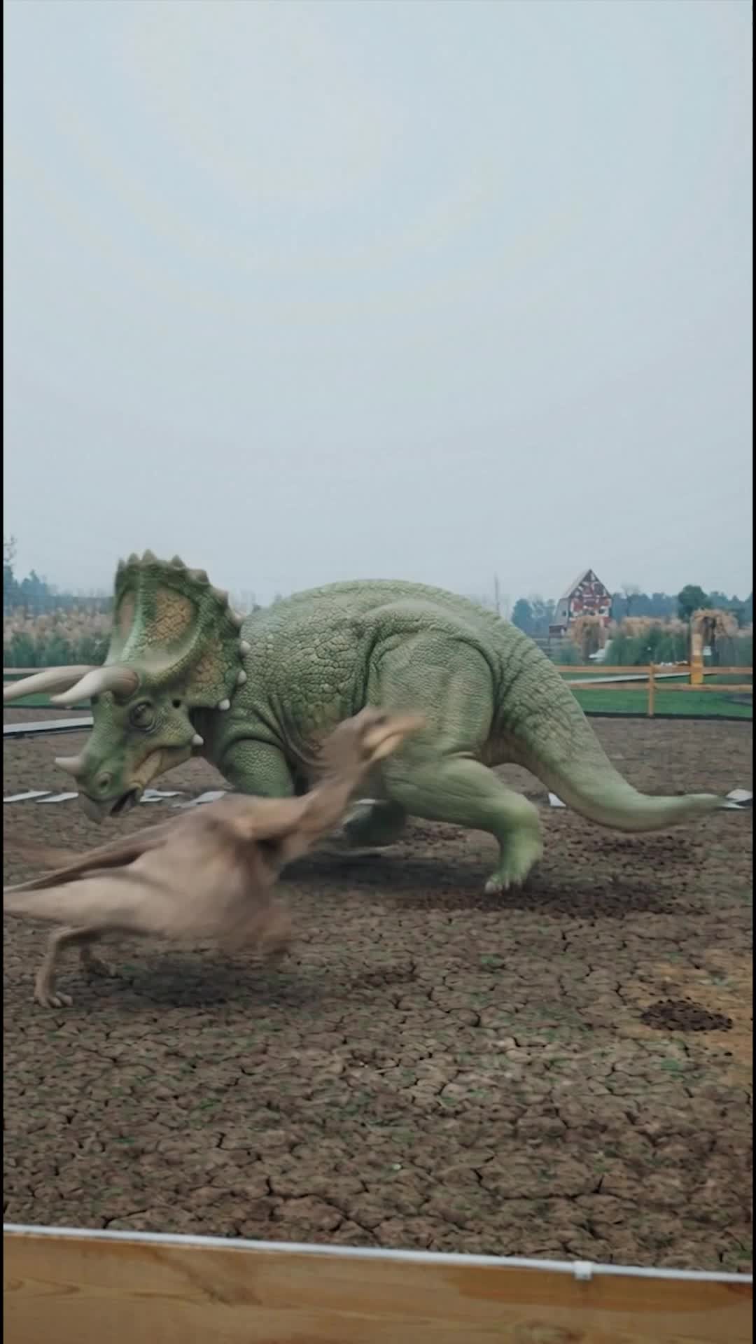 Bölüm 7