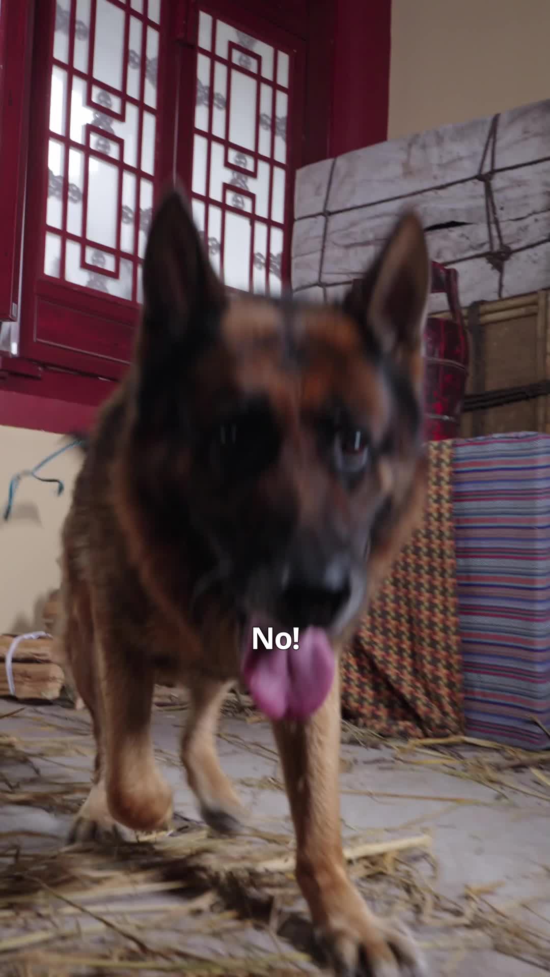 Bölüm 9