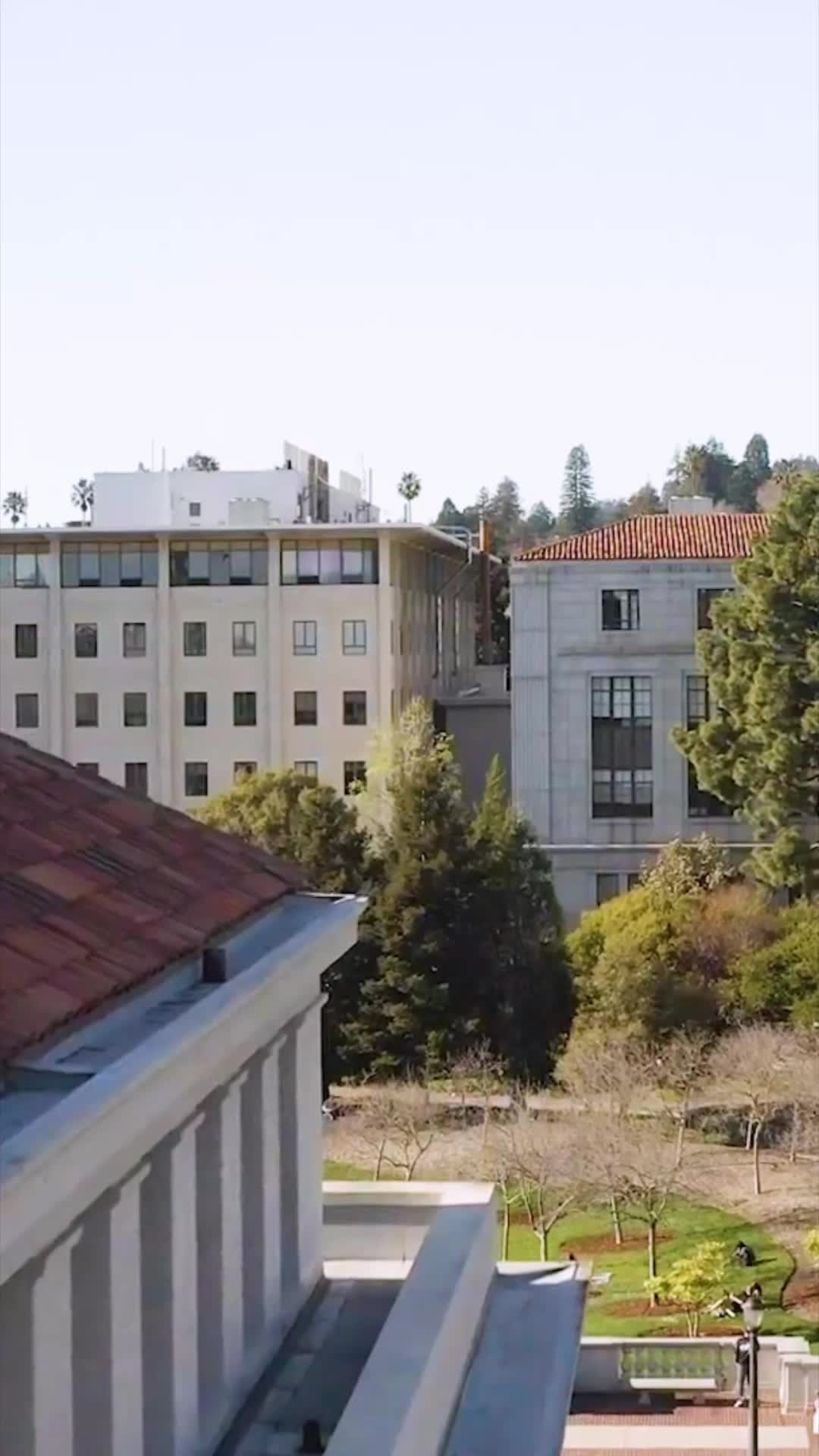 Bölüm 4