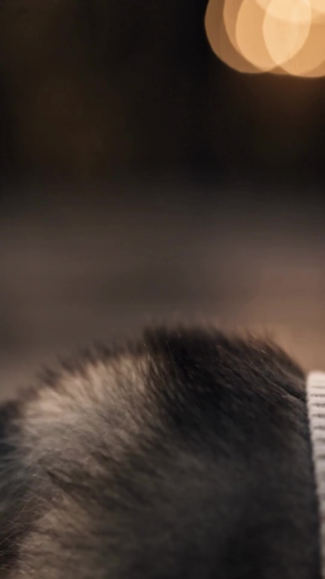 Bölüm 9
