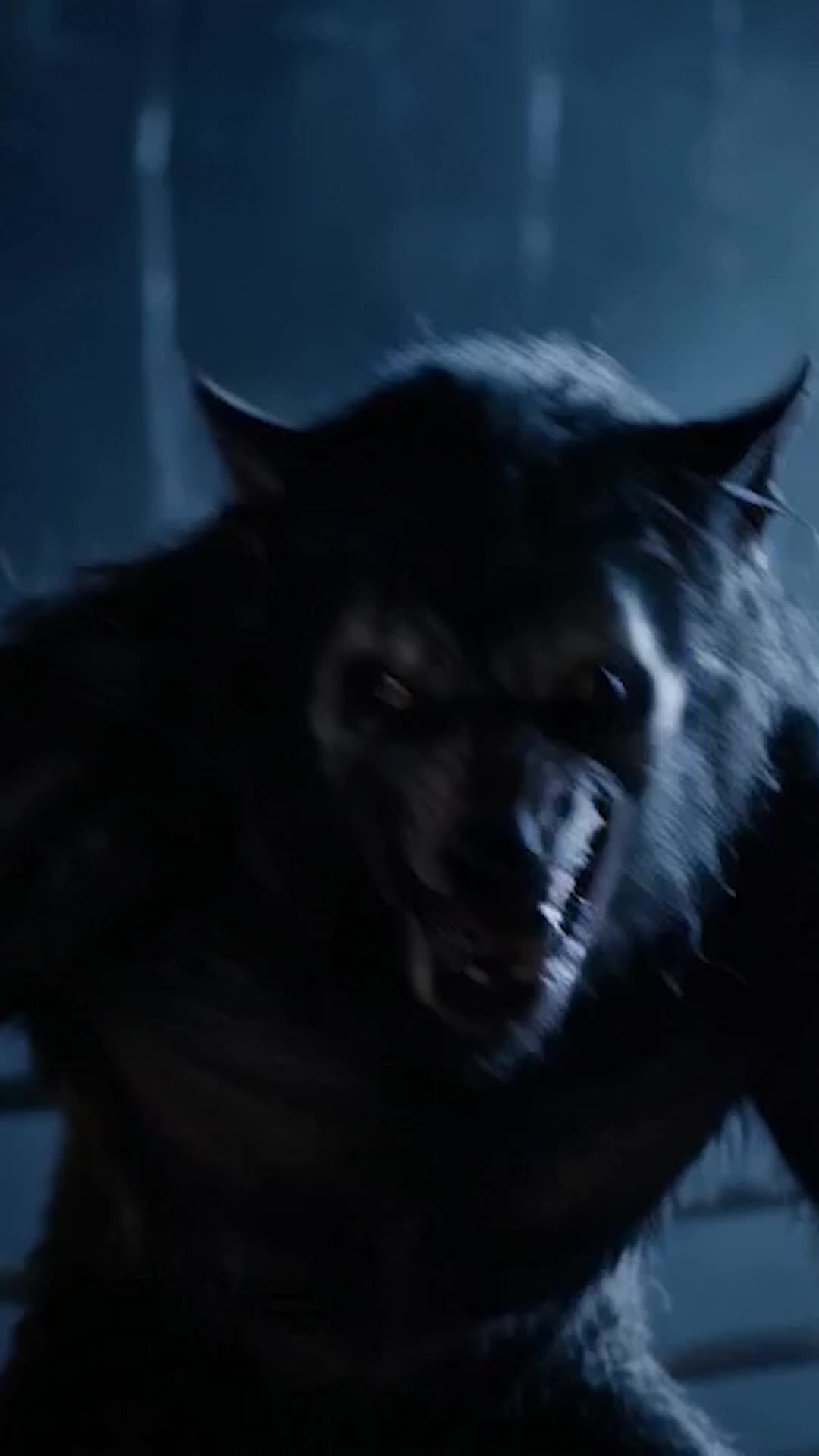 Bölüm 2
