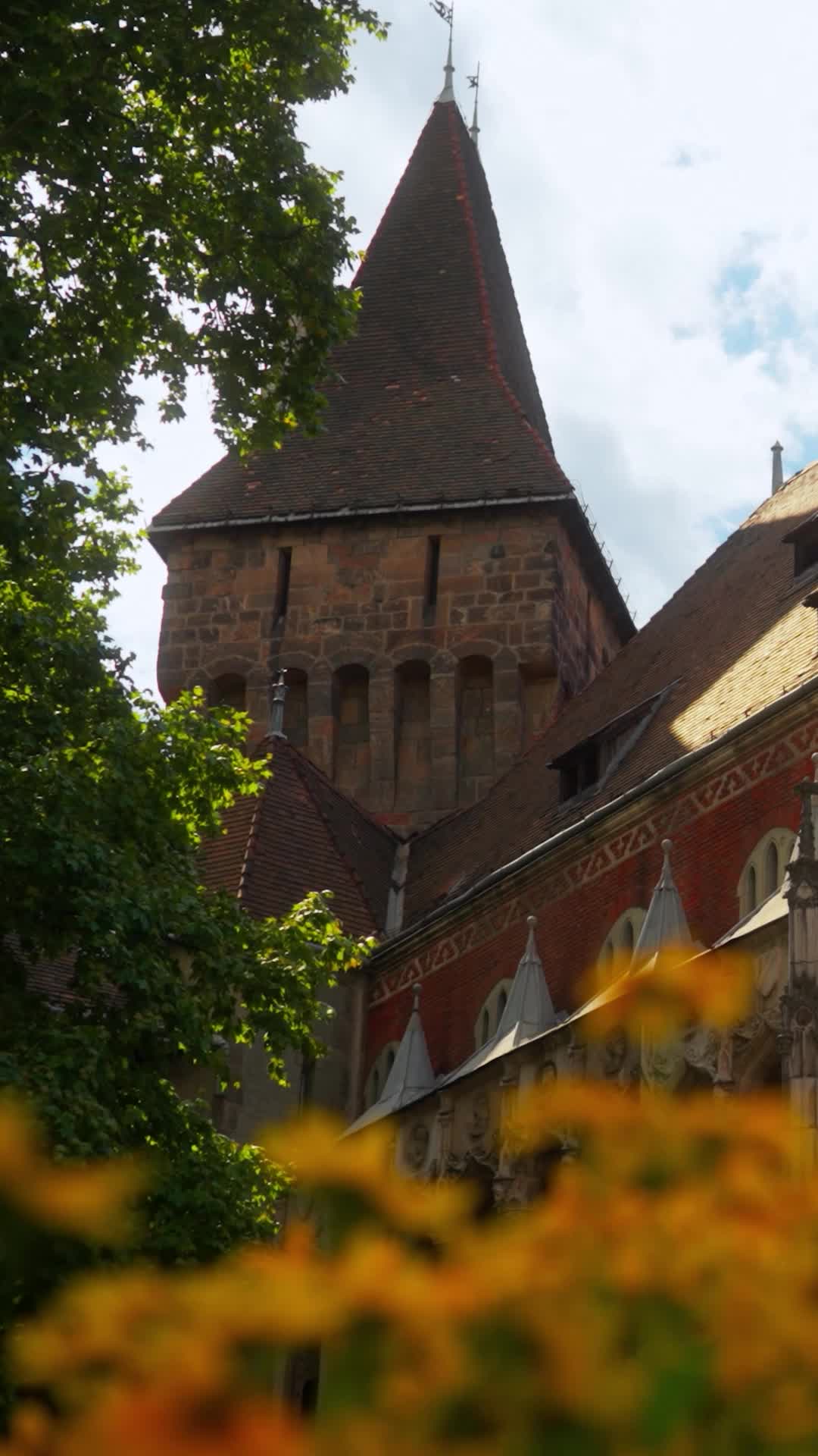 Bölüm 1