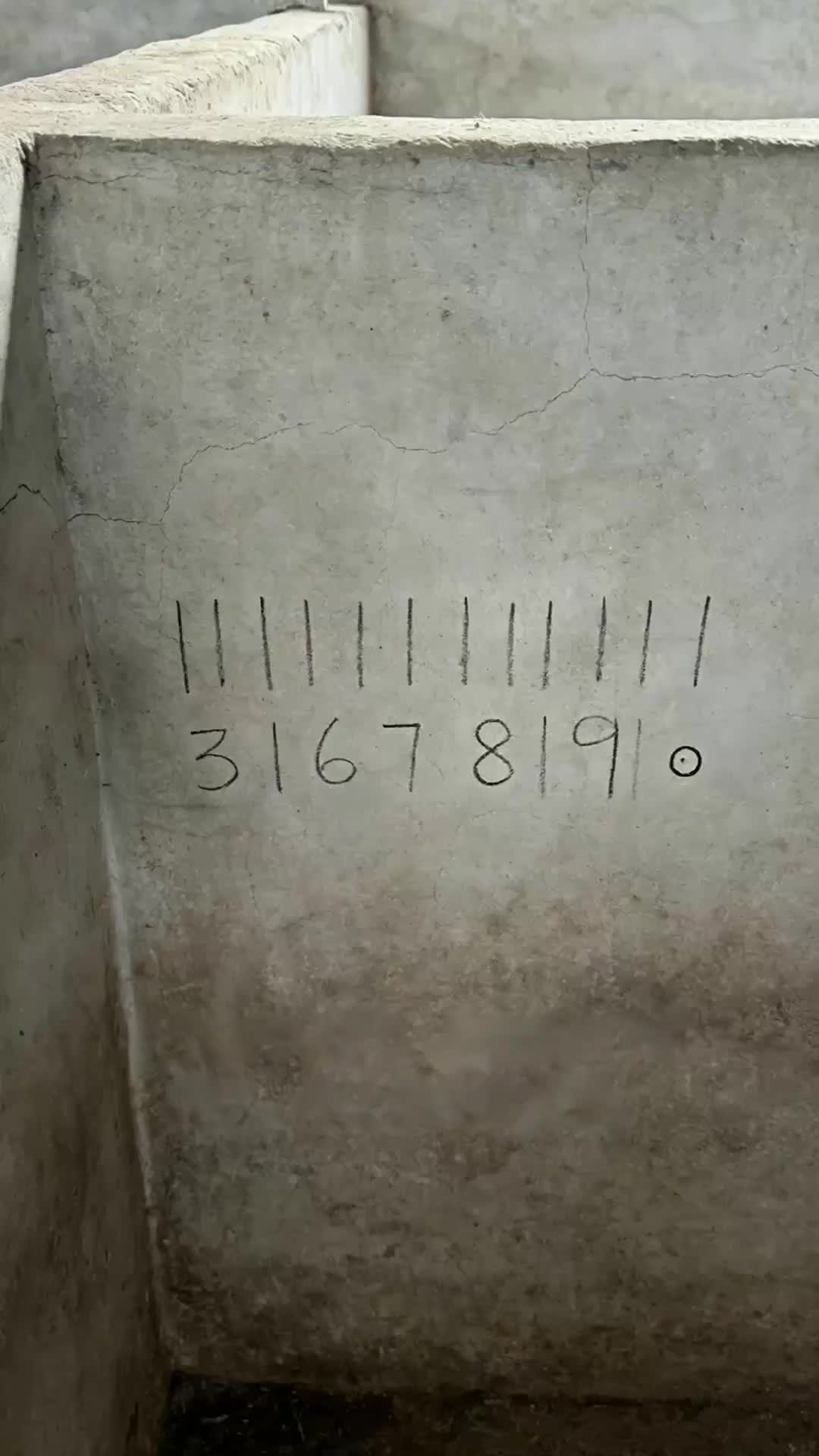 Bölüm 21