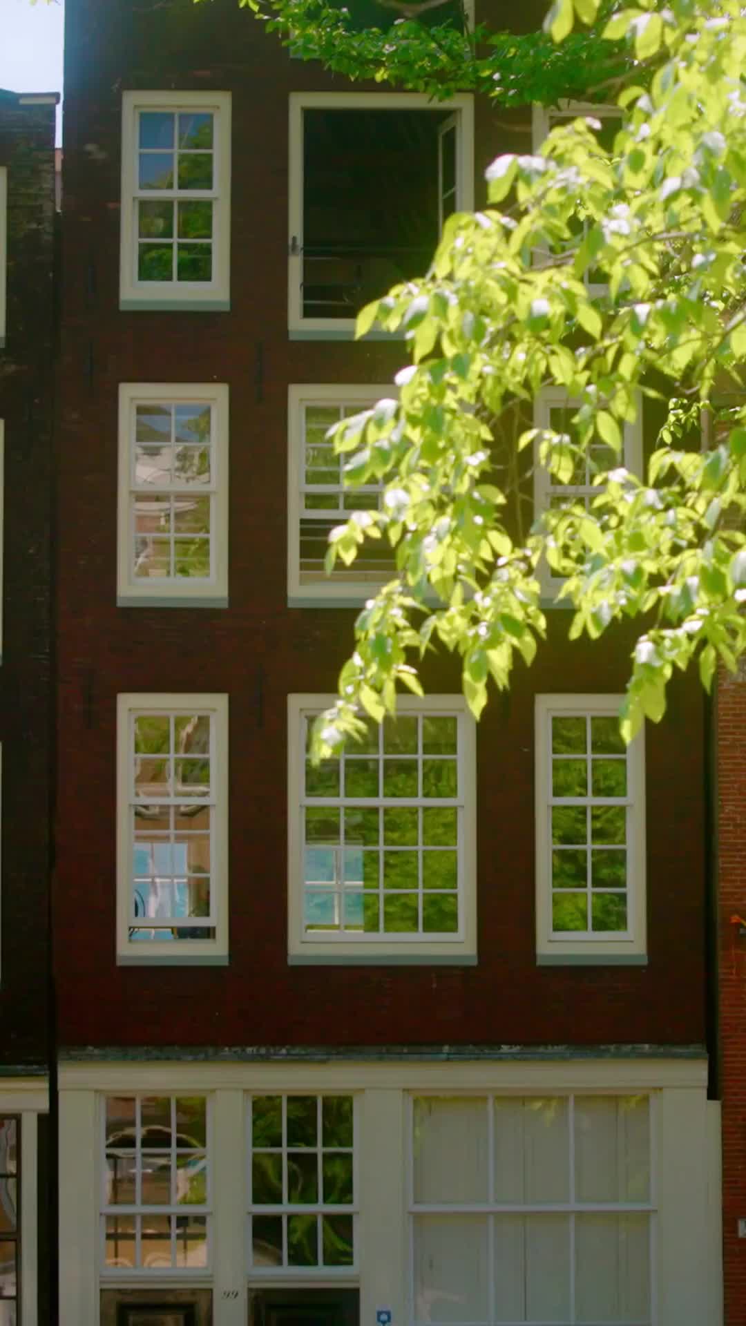 Bölüm 17