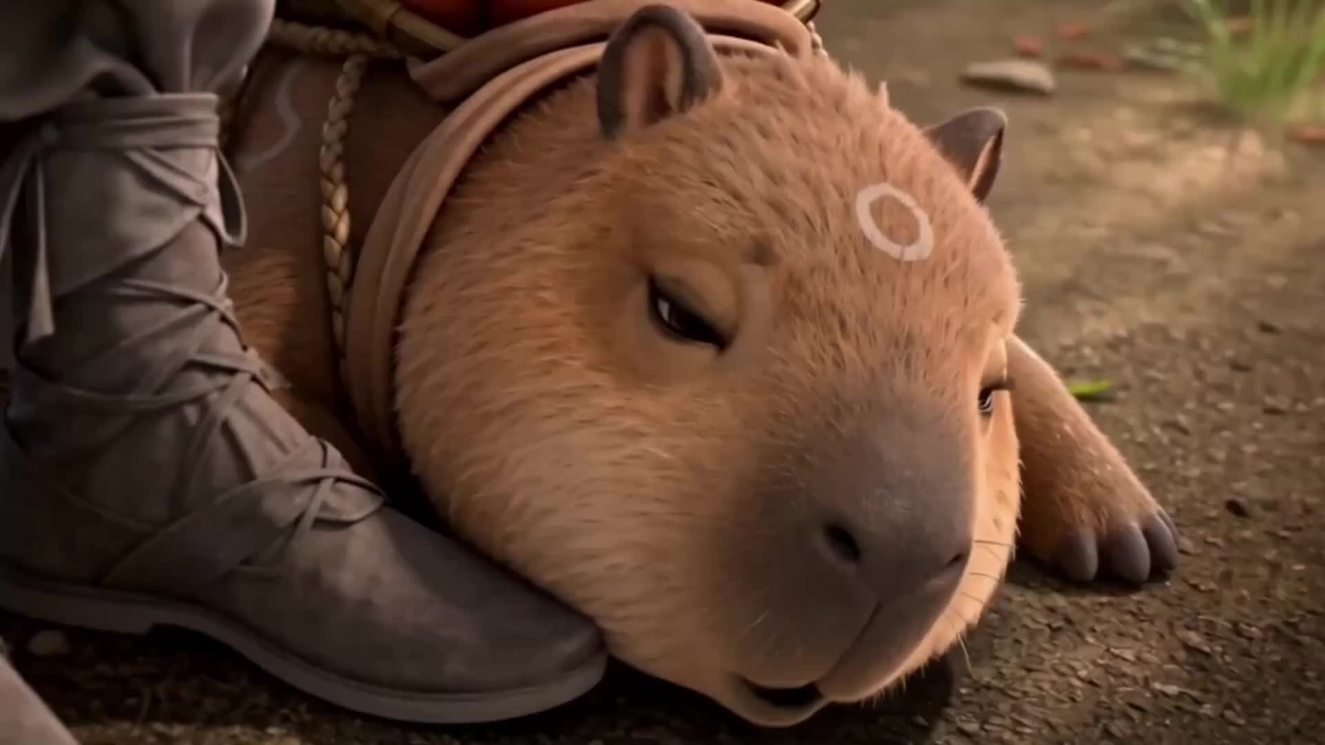 Bölüm 24