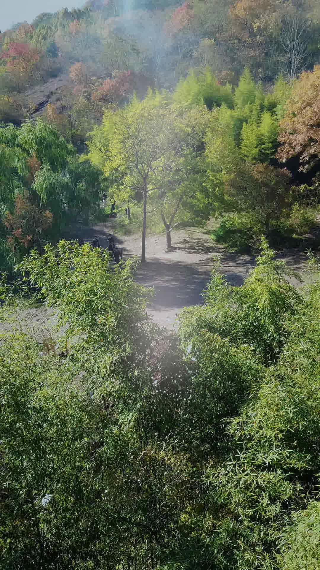 Bölüm 9