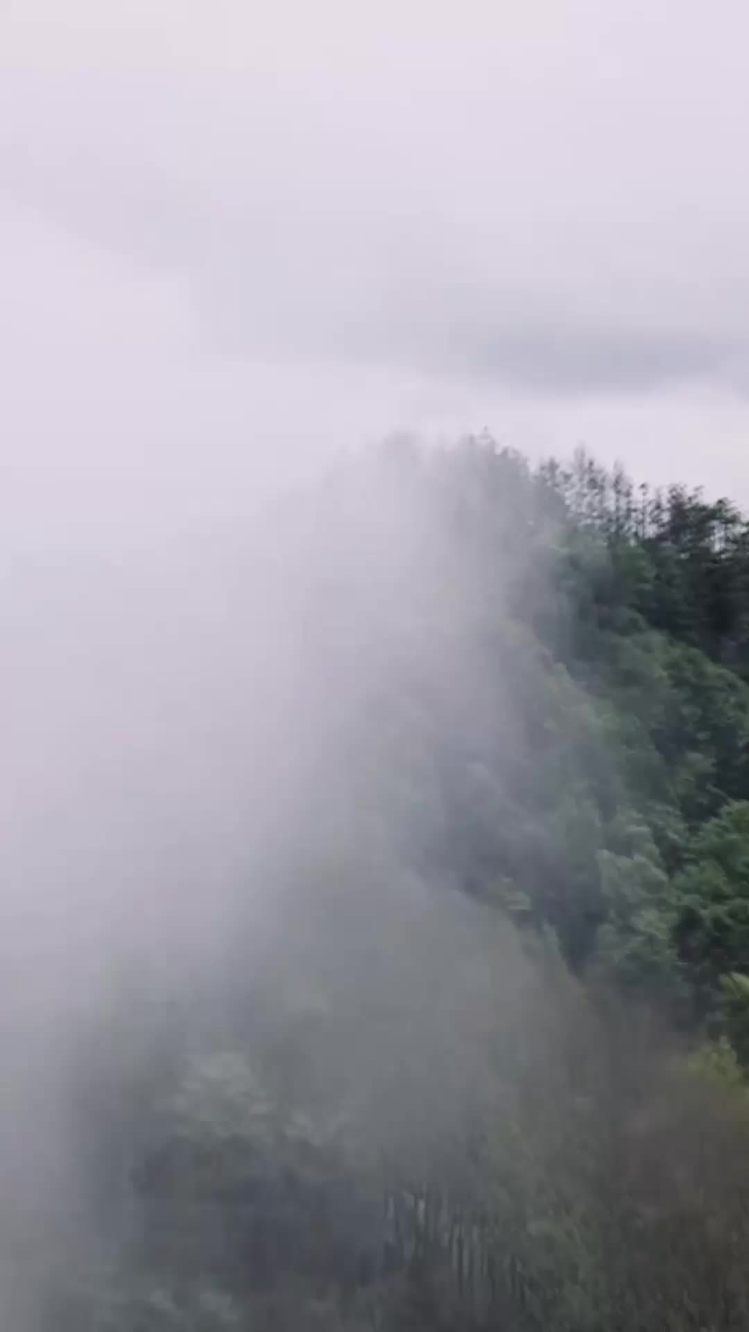 Bölüm 77
