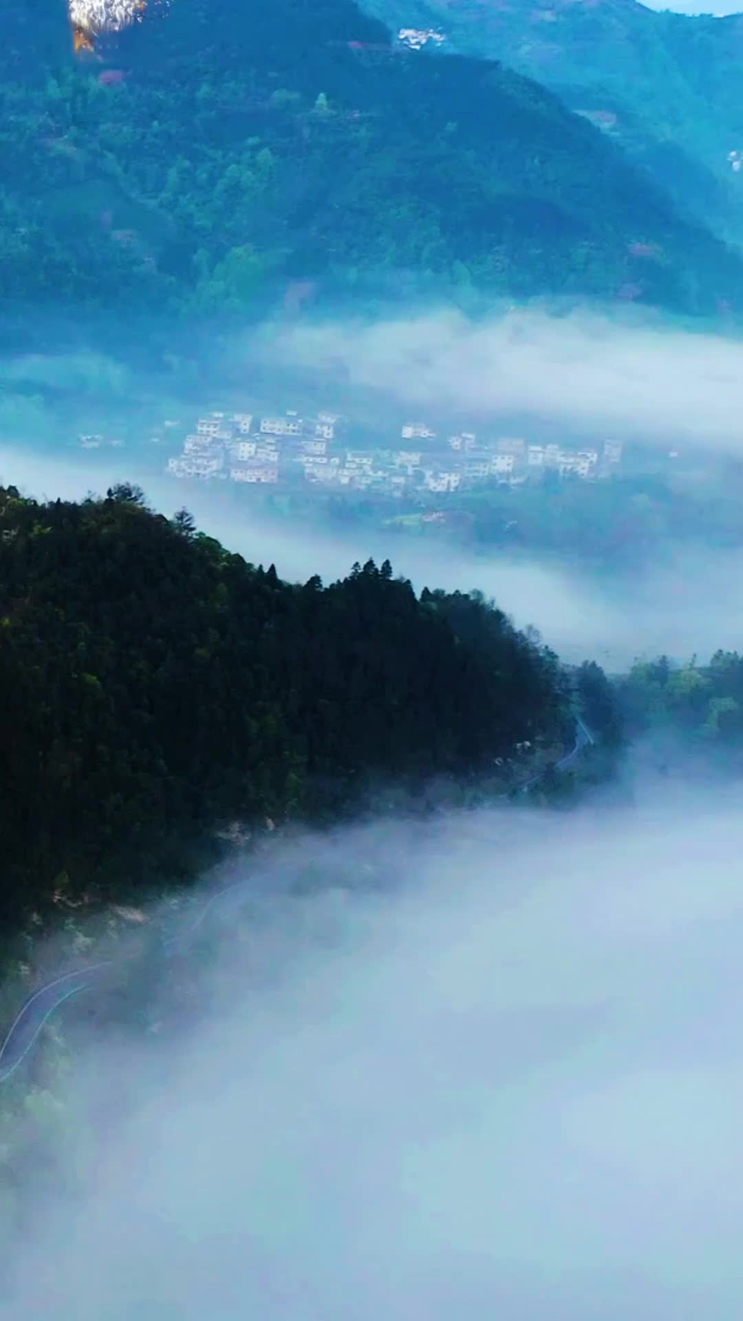 Bölüm 10
