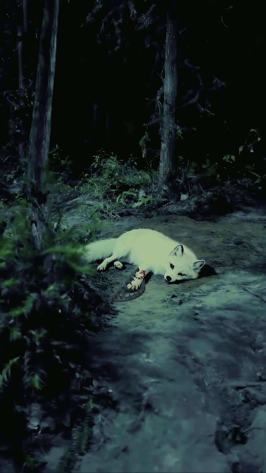 Episode 21