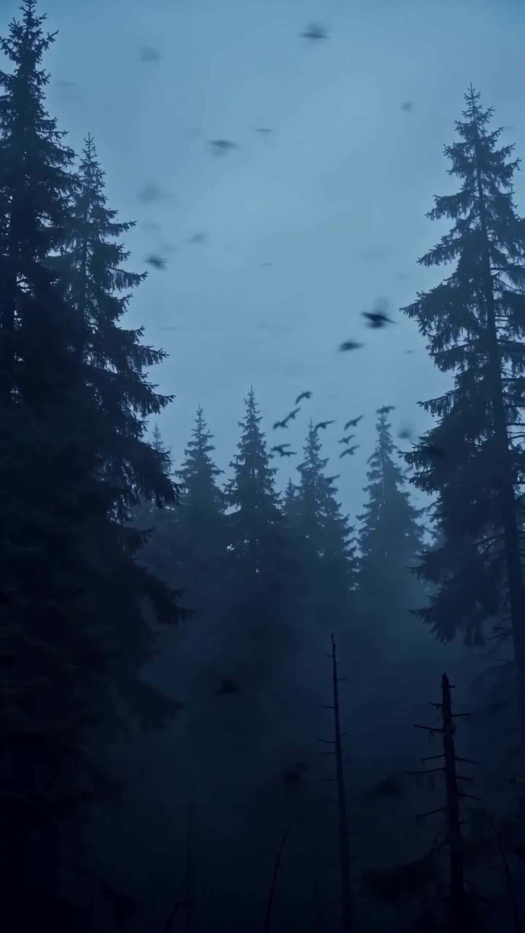Episode 18