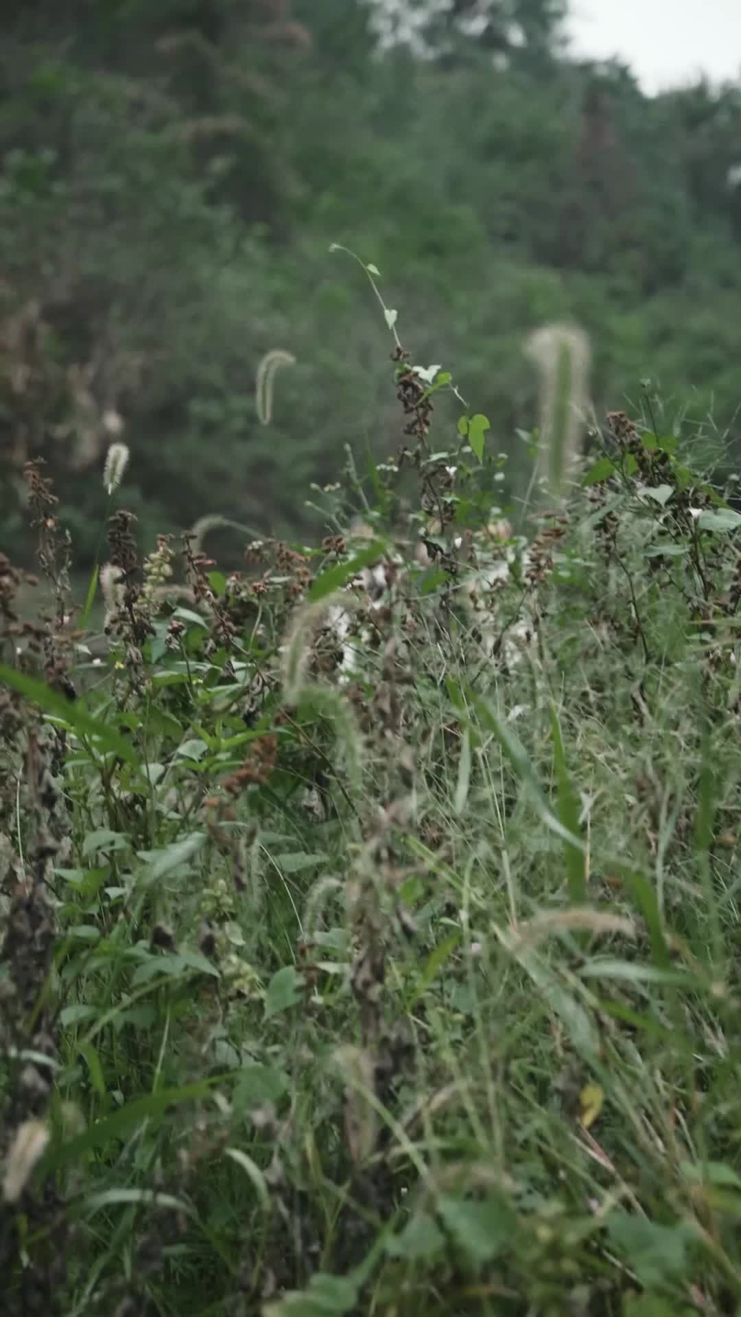 Bölüm 58