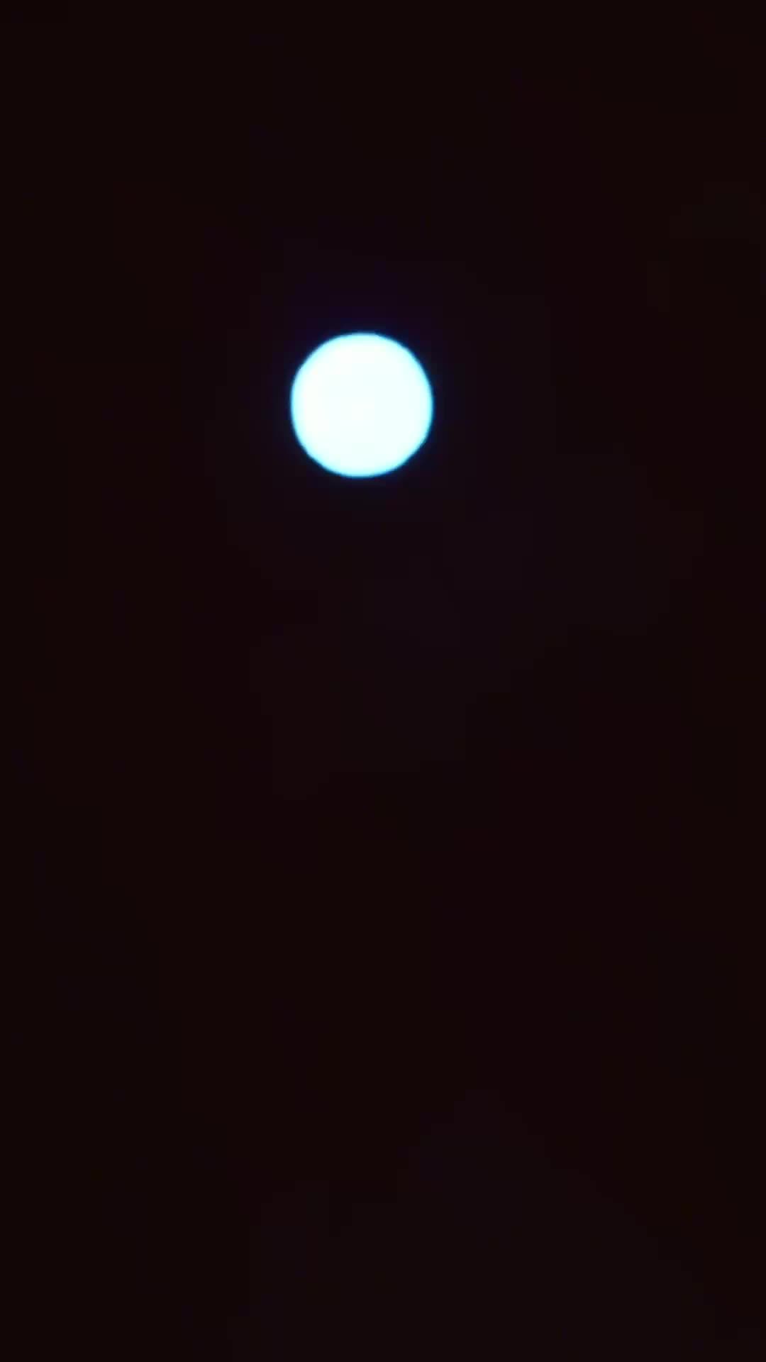 Bölüm 7