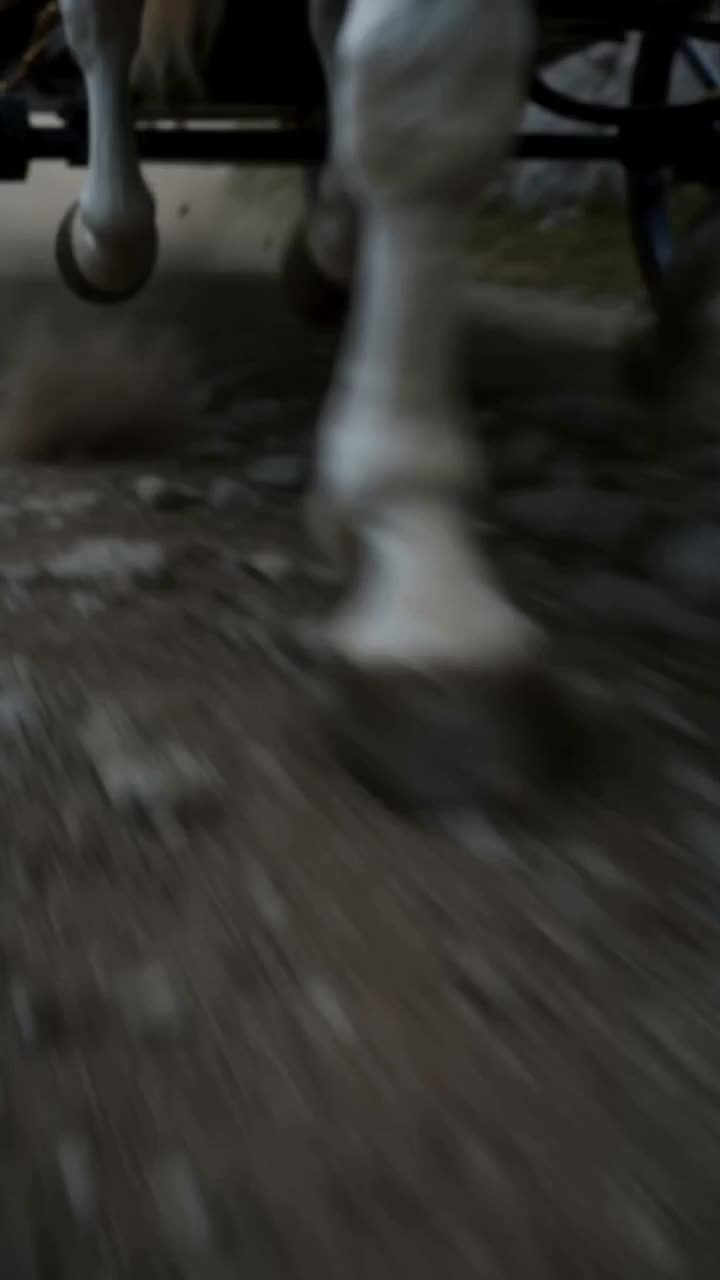 Bölüm 1