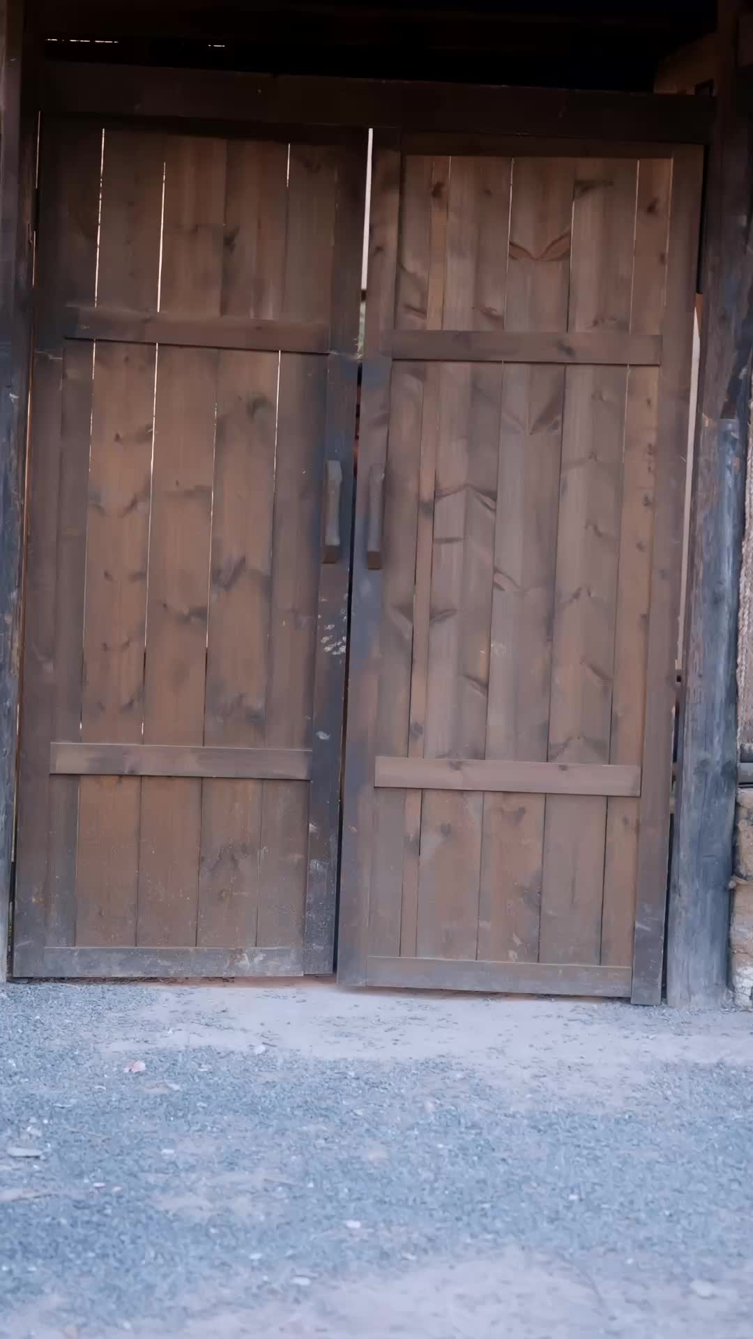 Bölüm 56