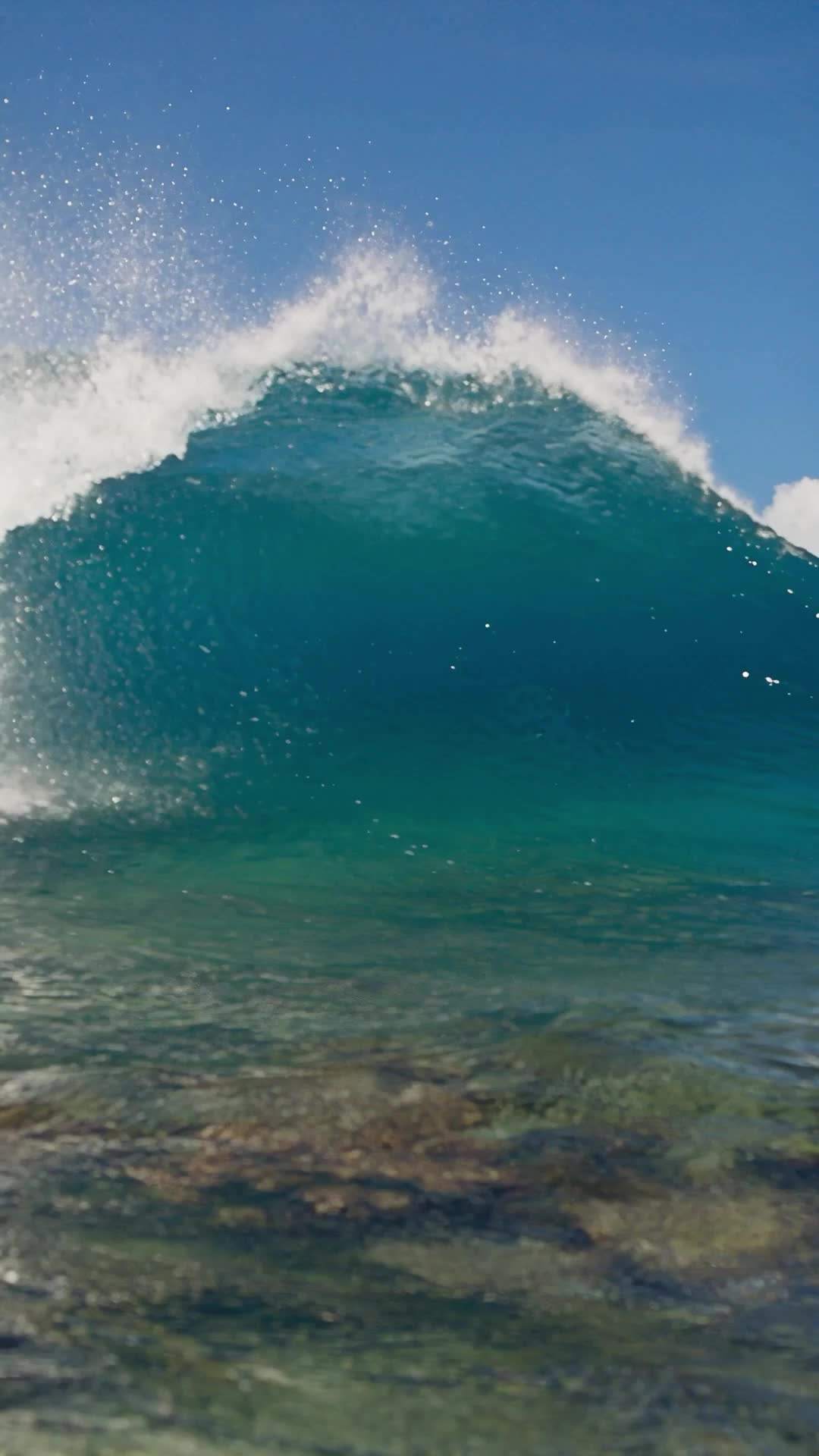 Surf God's Revenge Ep. 4