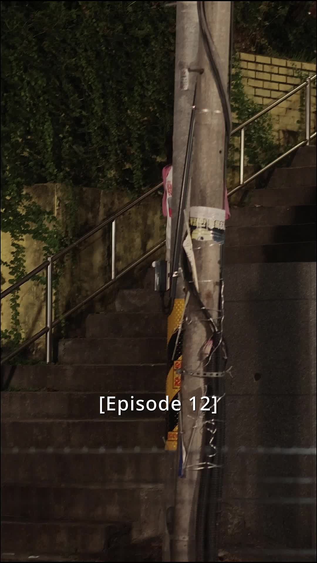 Bölüm 12