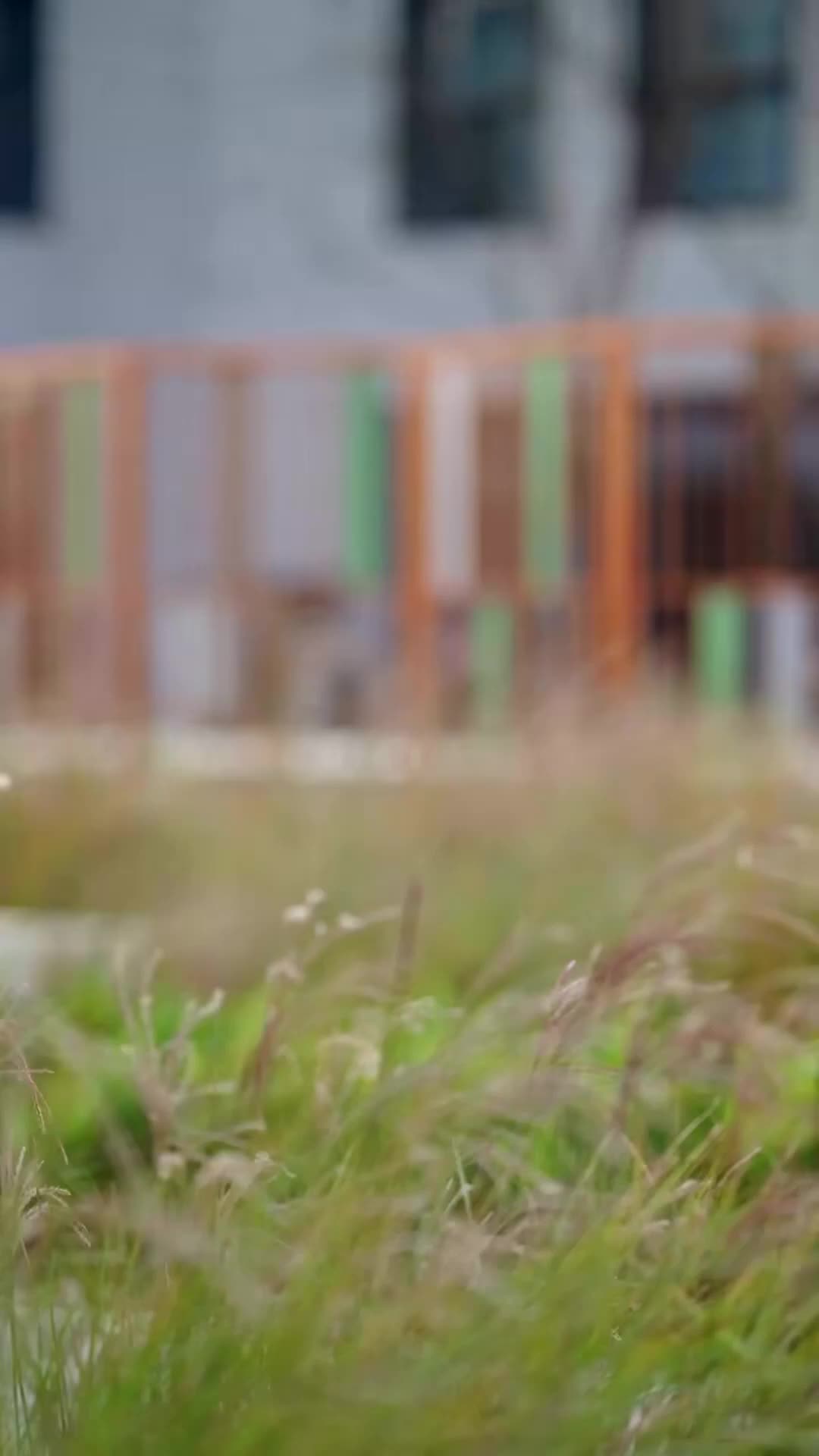 Episode 24