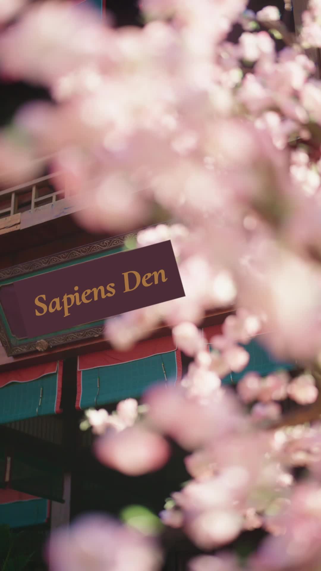 Episode 29