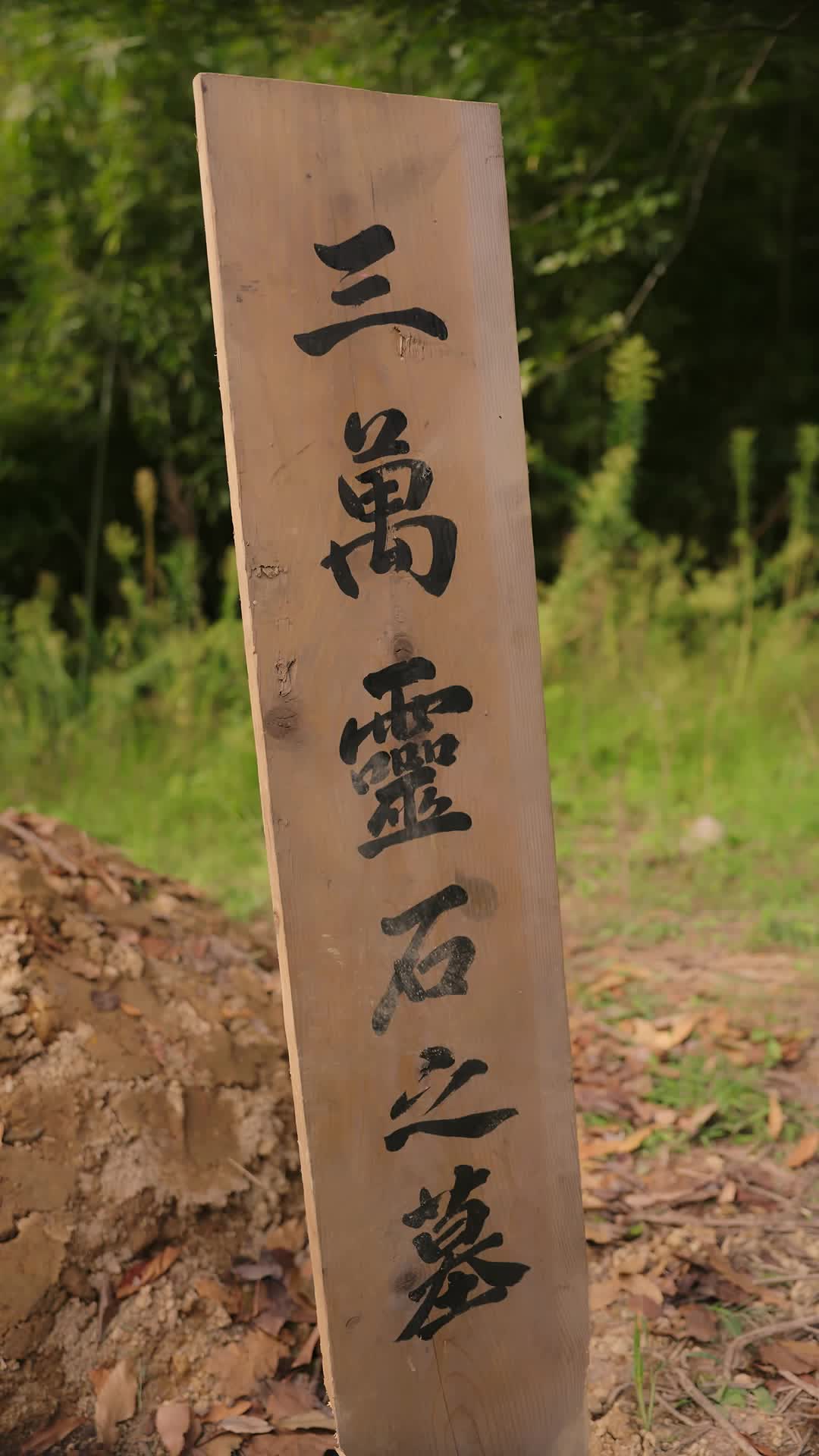 Bölüm 33