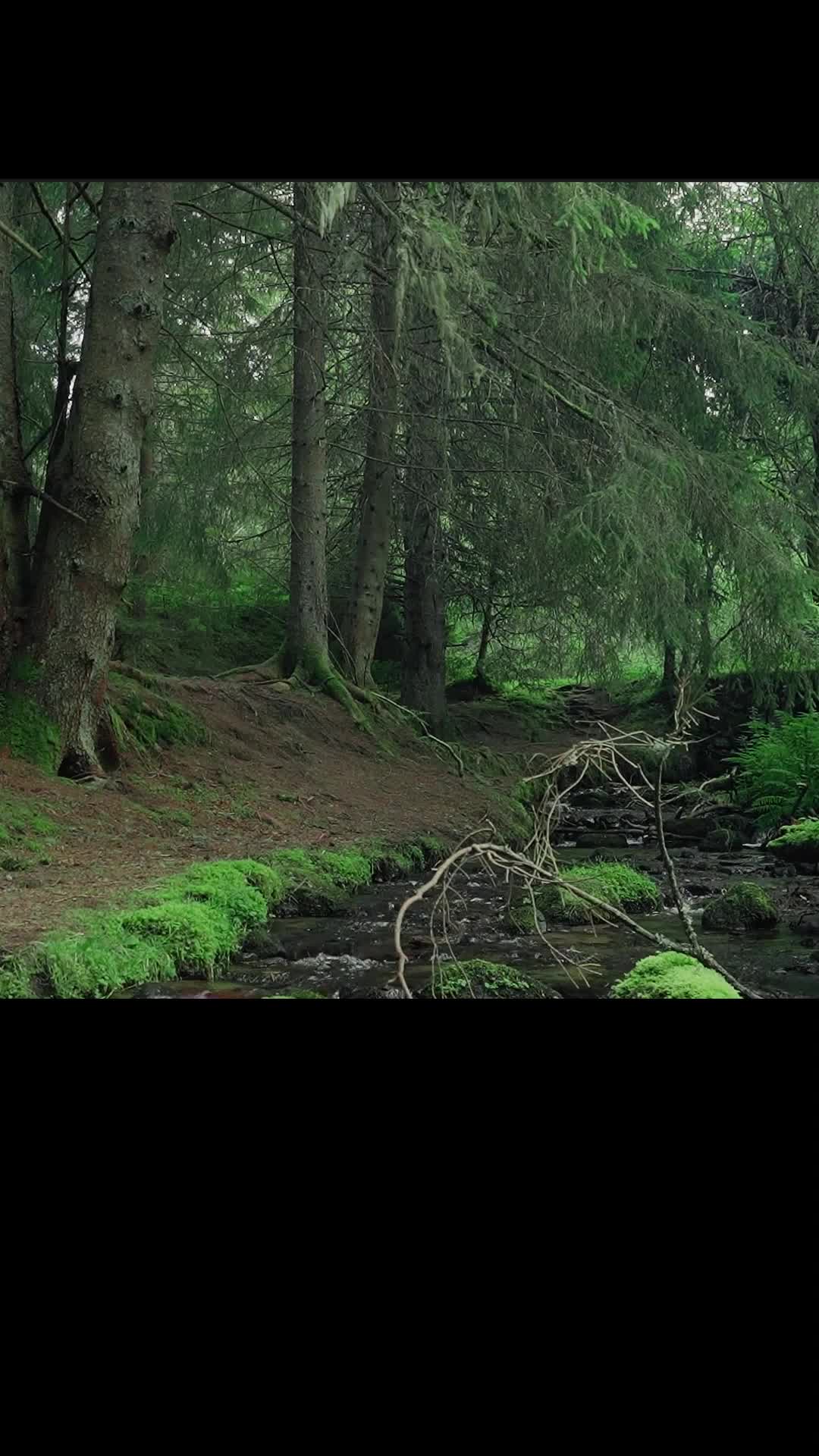 Bölüm 3
