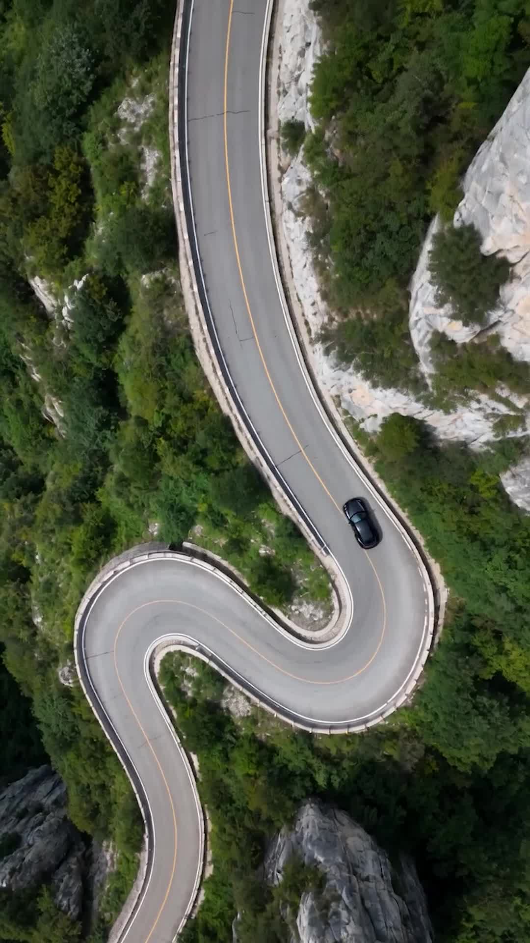 Bölüm 10