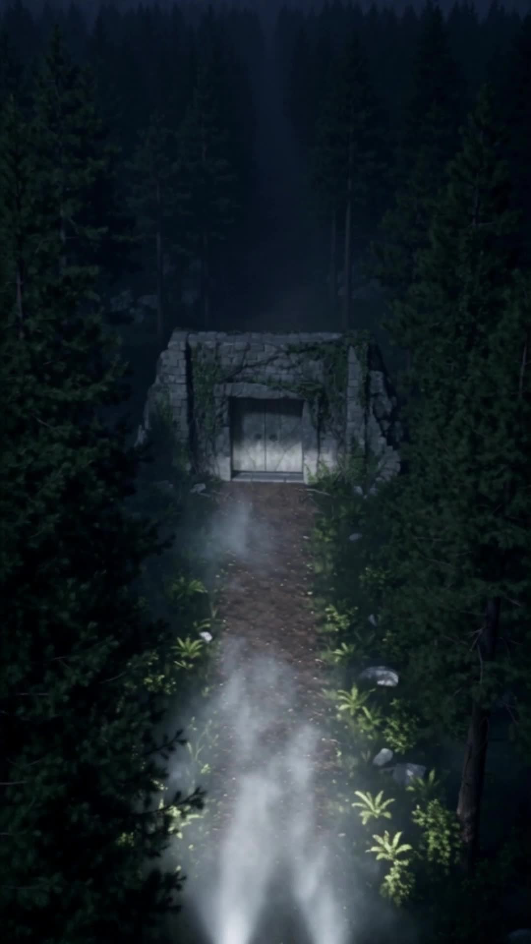 Bölüm 24
