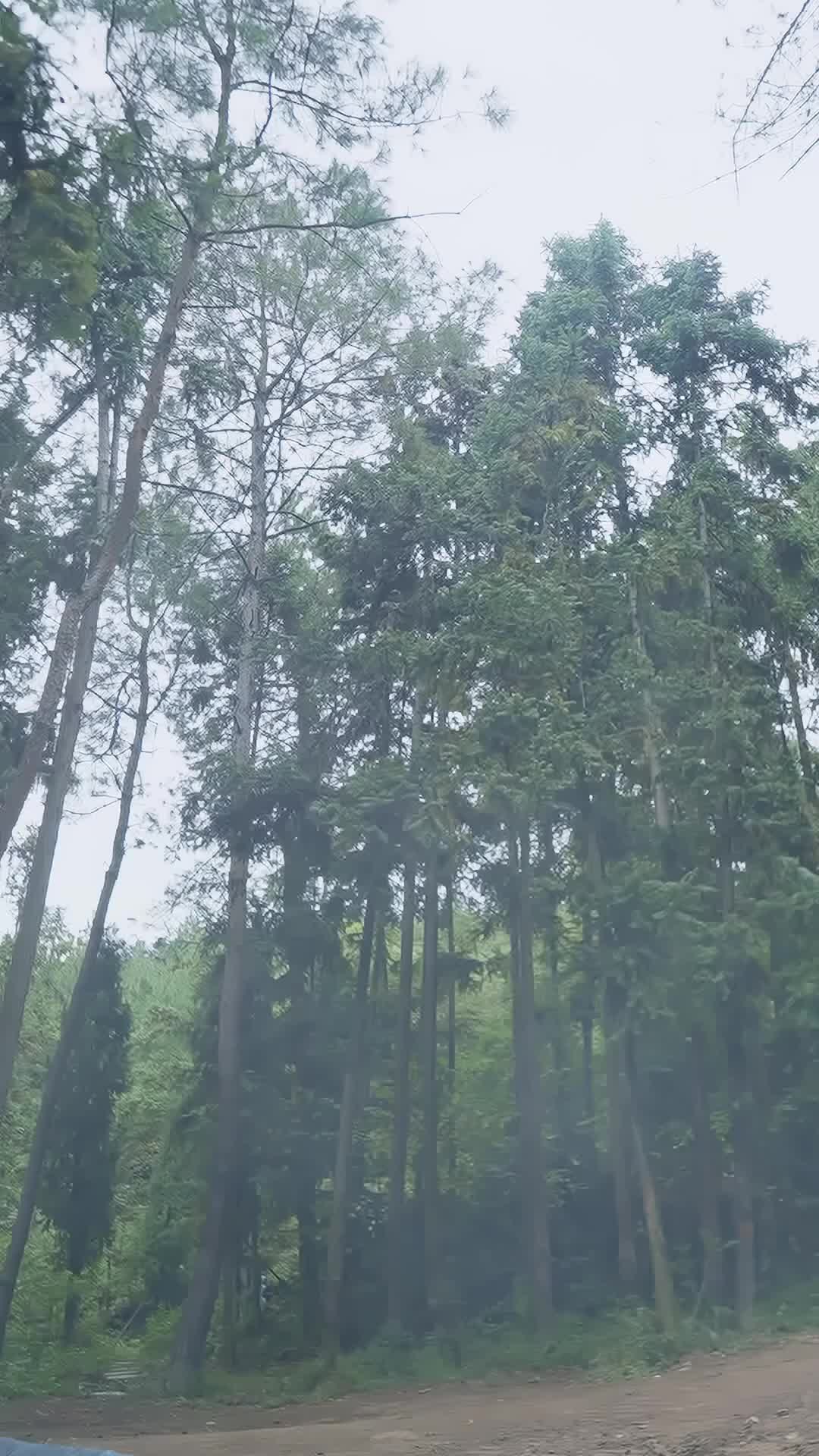 Episode 71