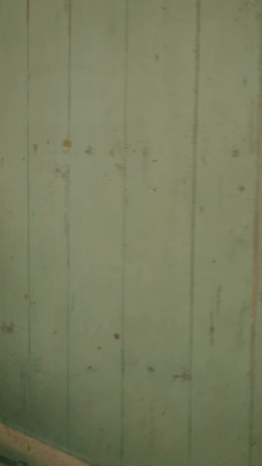 Bölüm 55