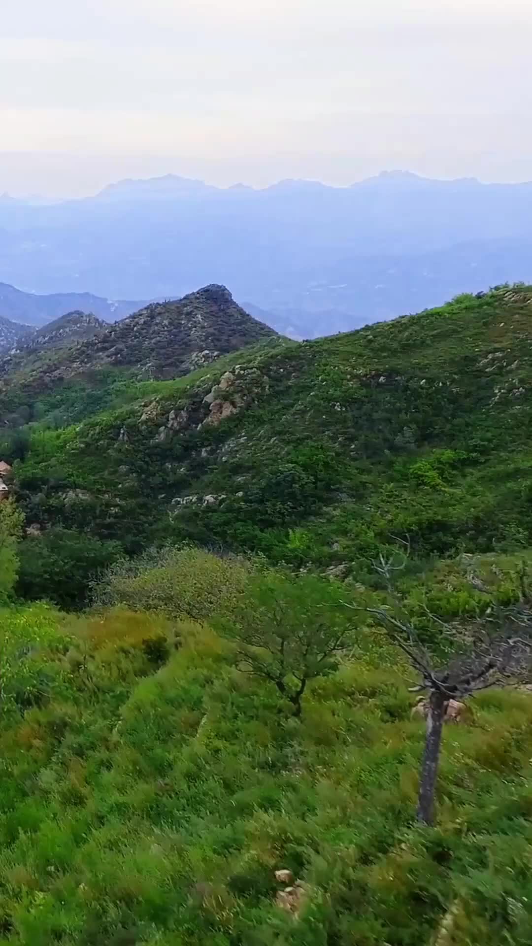 Bölüm 28