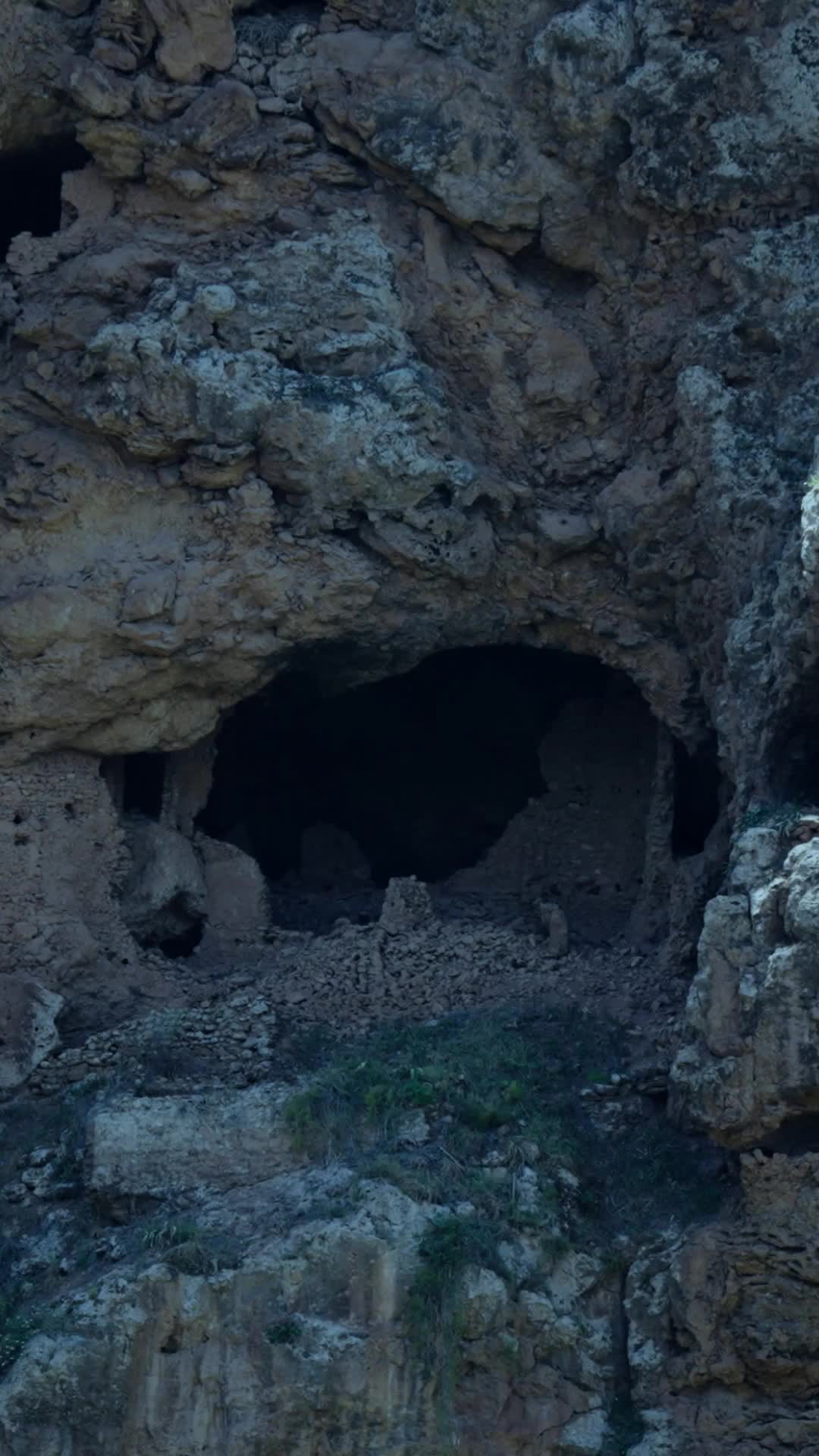 Bölüm 10