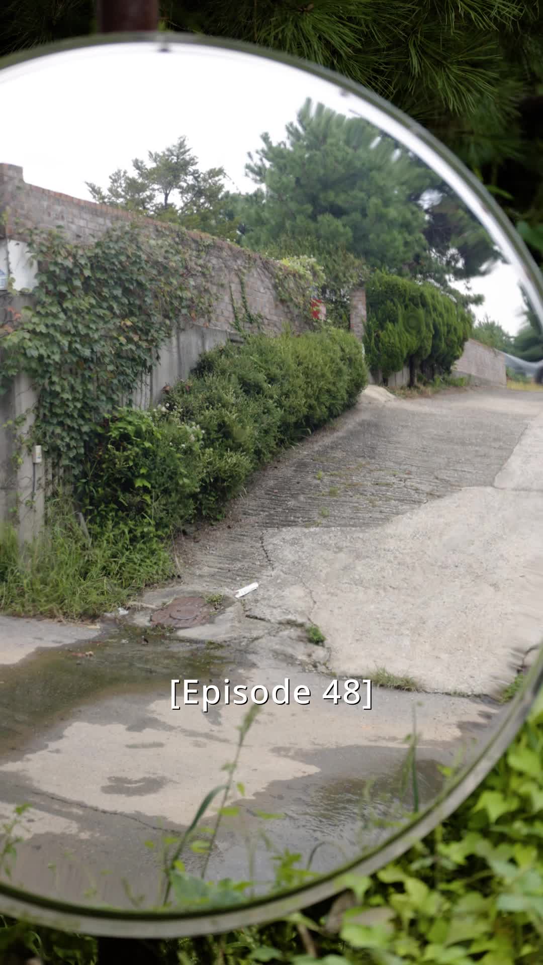 Bölüm 48