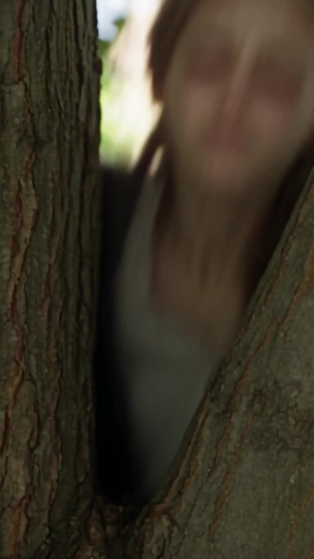 Bölüm 8