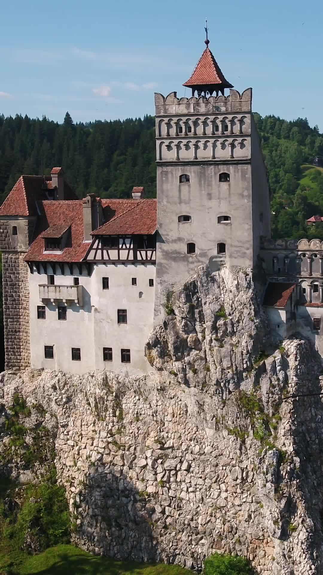 Bölüm 4