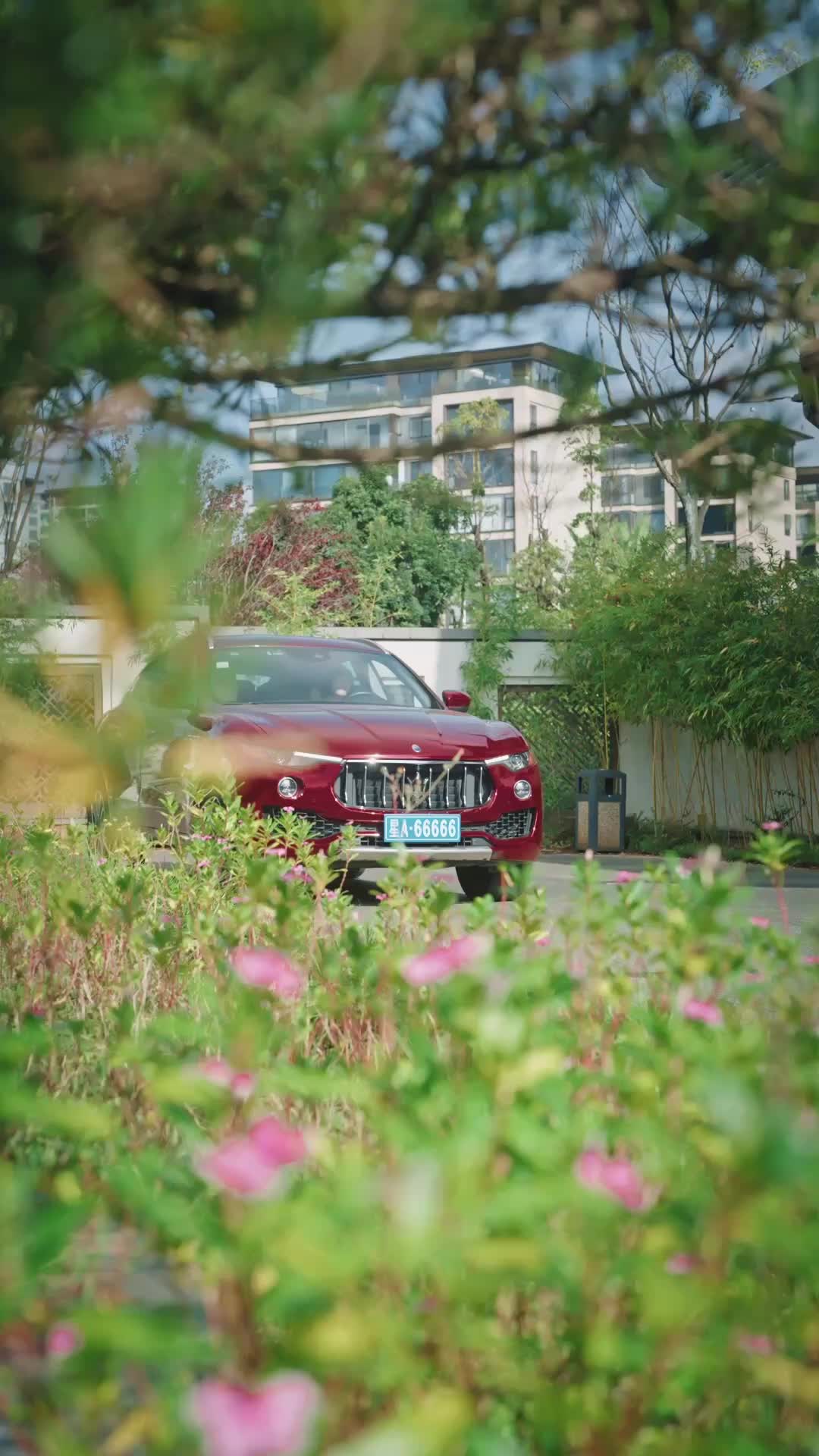 Bölüm 4
