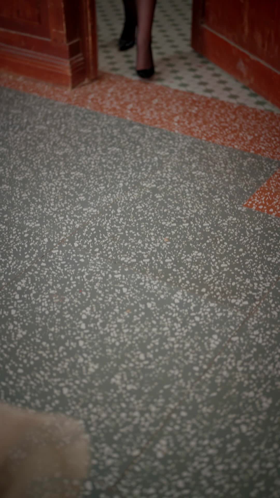 Bölüm 15