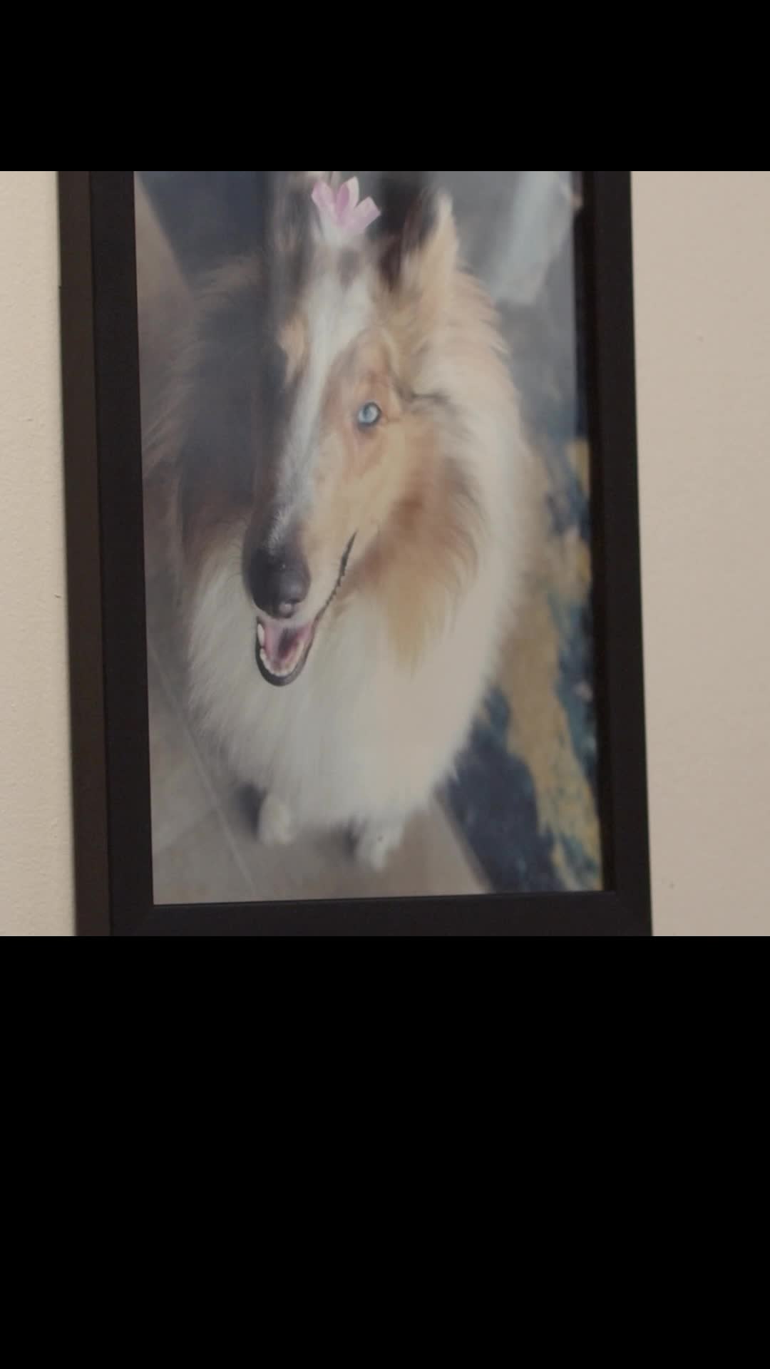 Bölüm 8