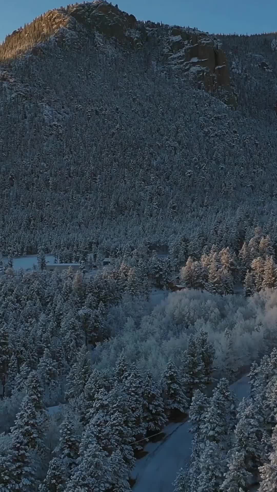Episode 42