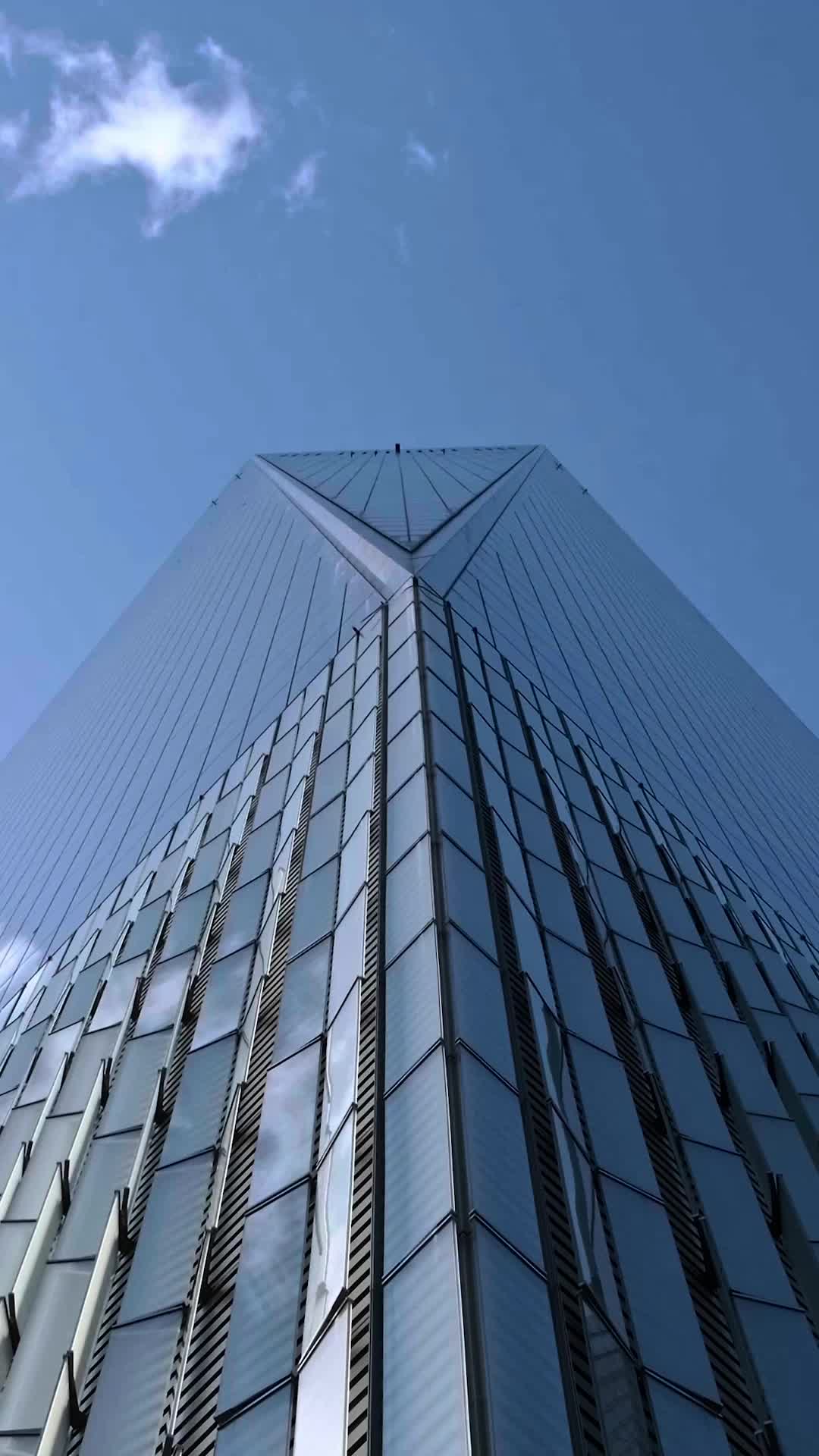 Bölüm 5