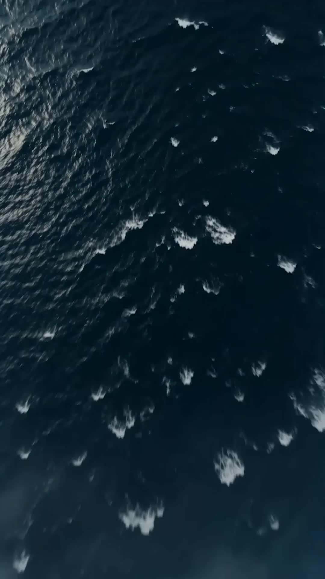 Bölüm 2