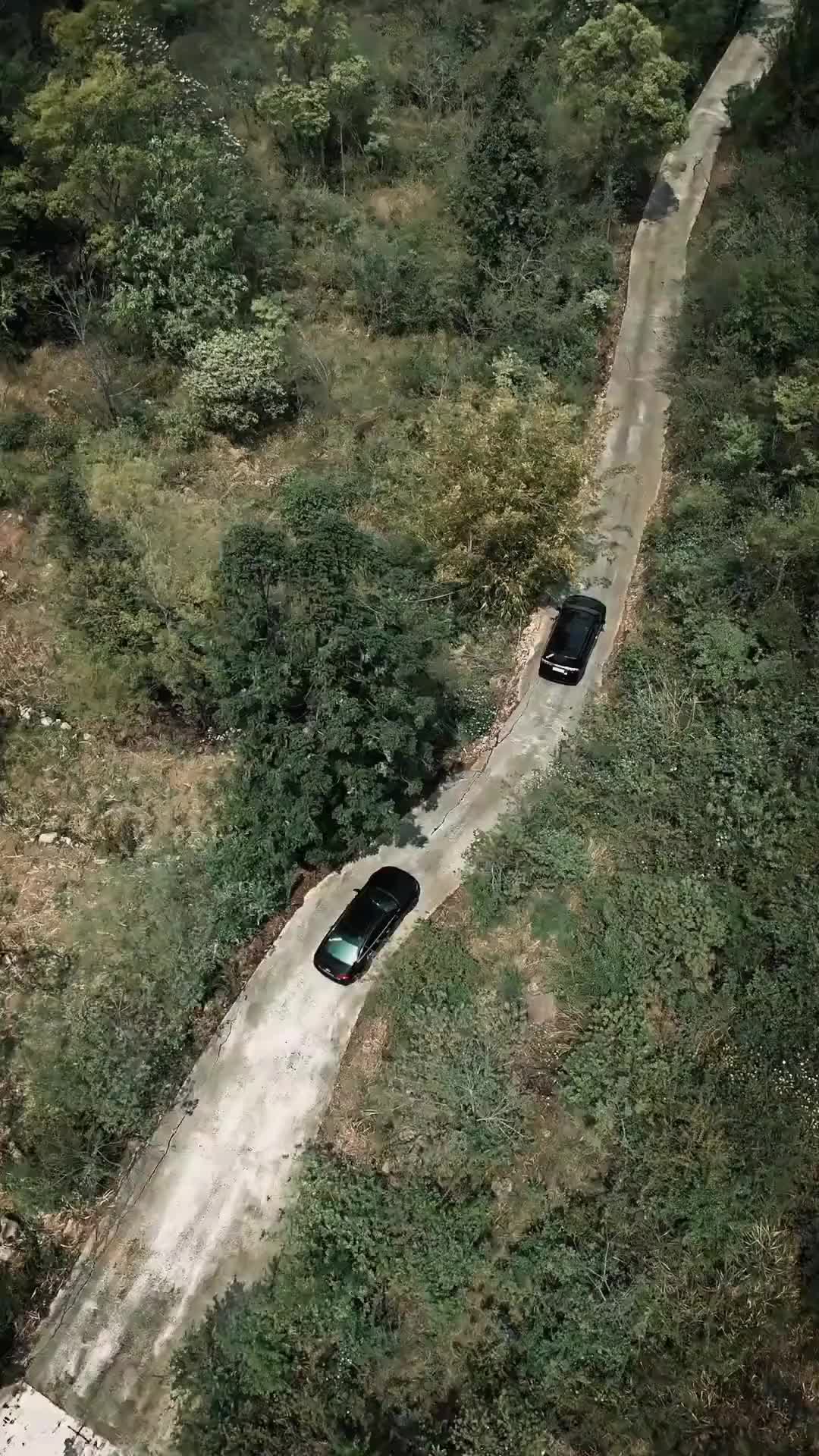 Bölüm 1