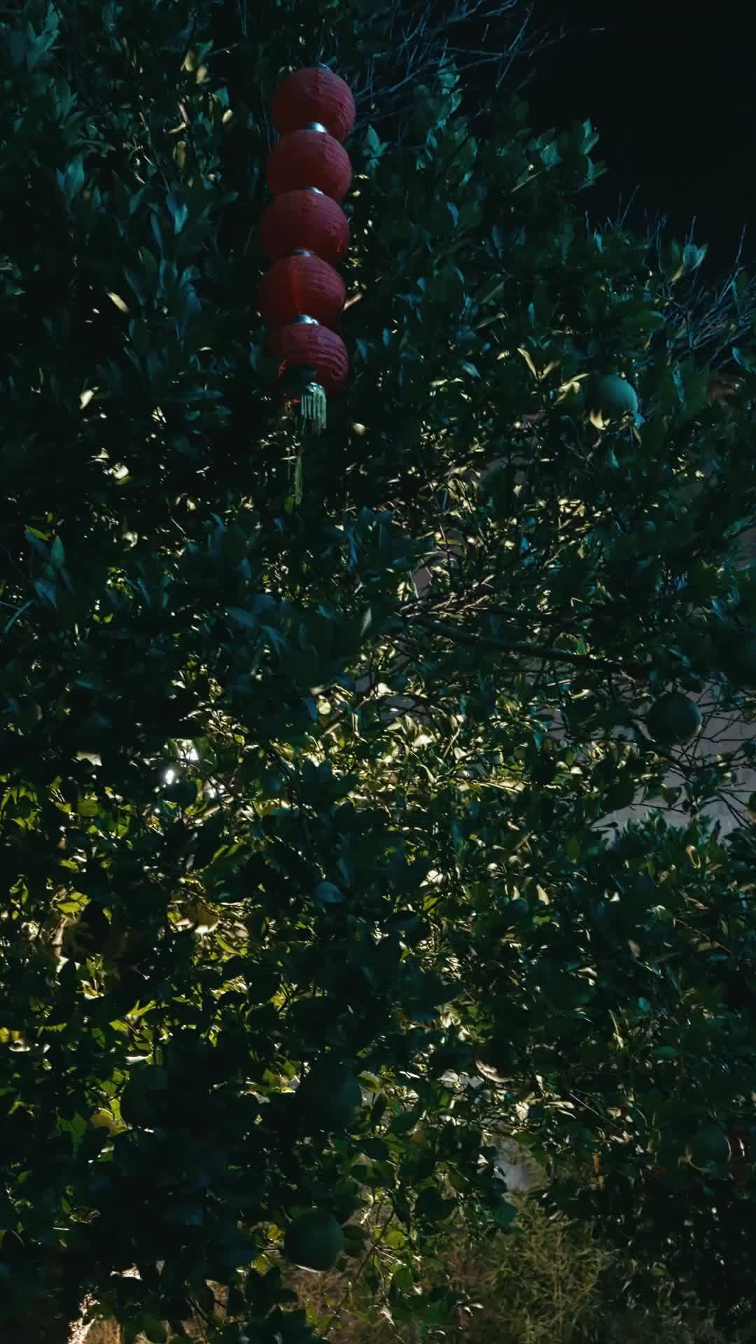 Episode 34