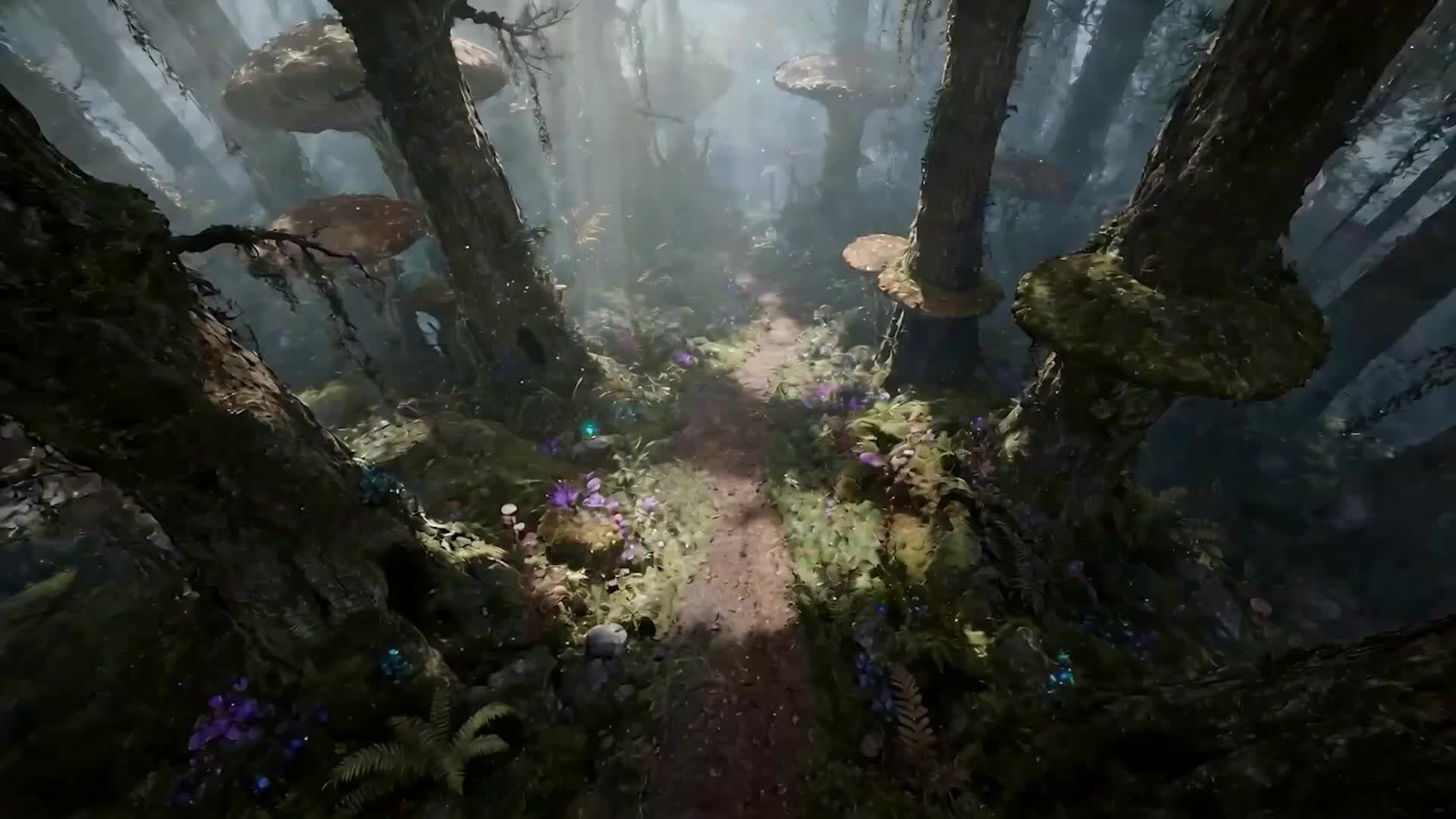 Bölüm 7
