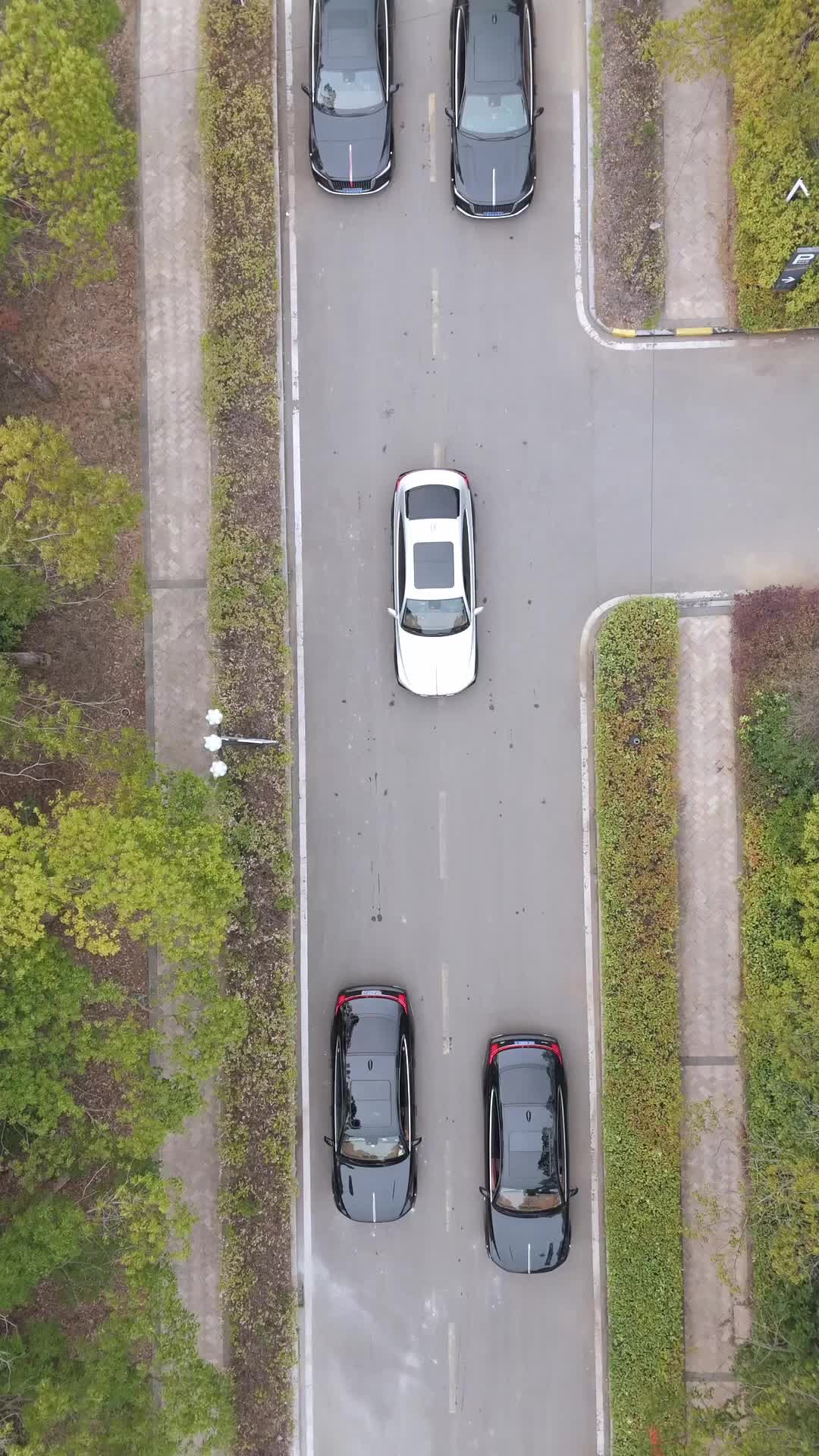 Bölüm 1