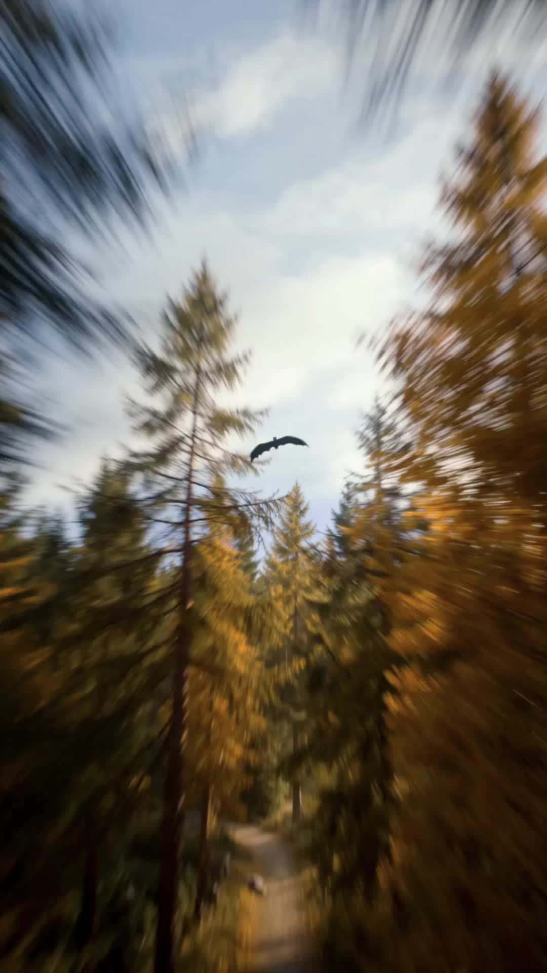 Bölüm 27