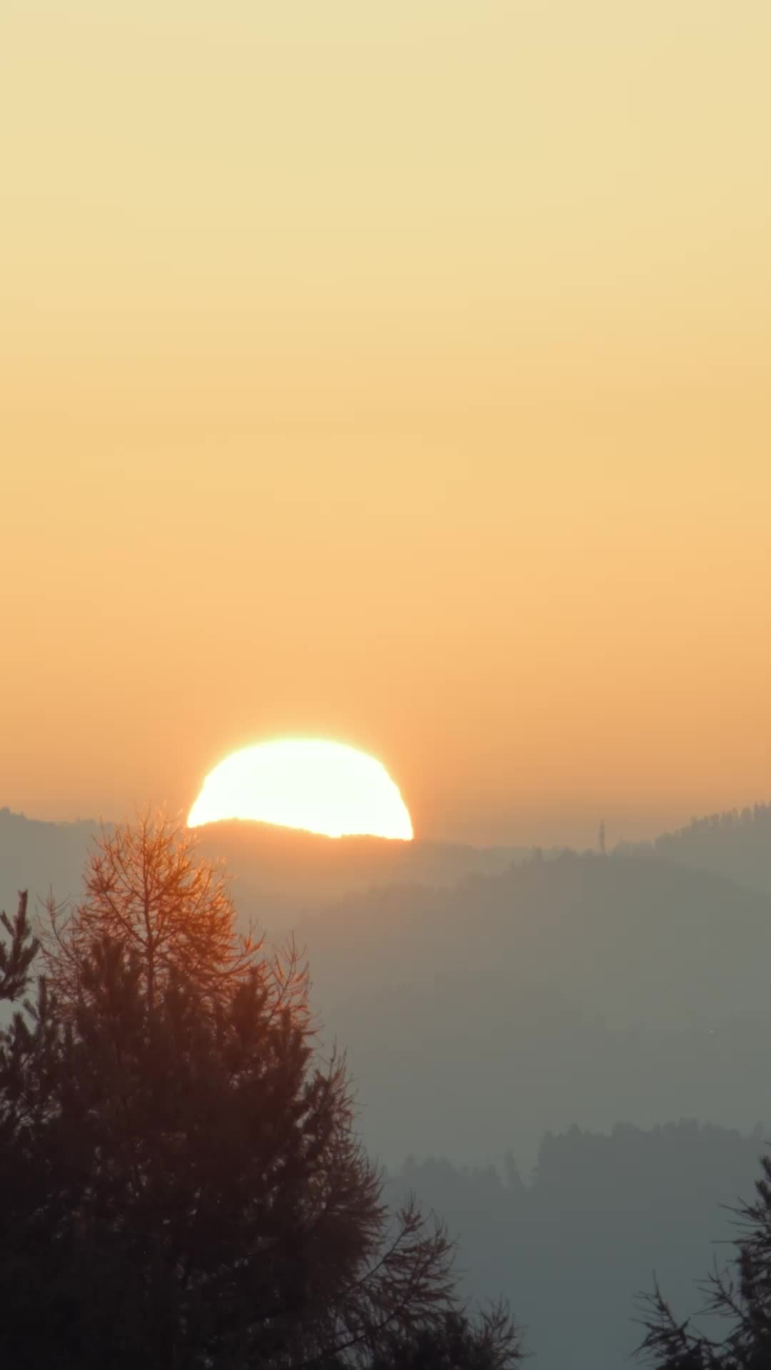 Bölüm 50
