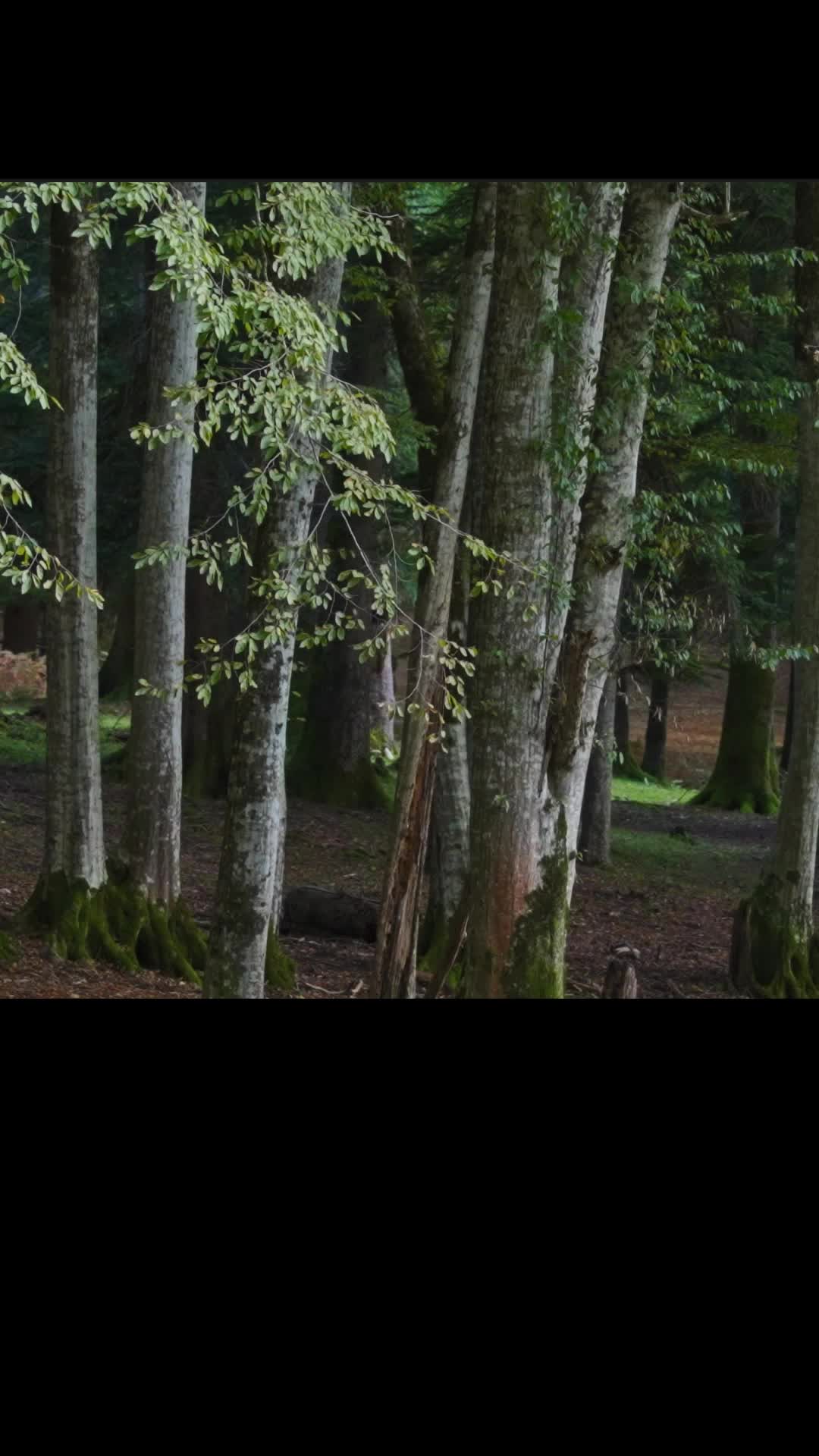 Bölüm 15