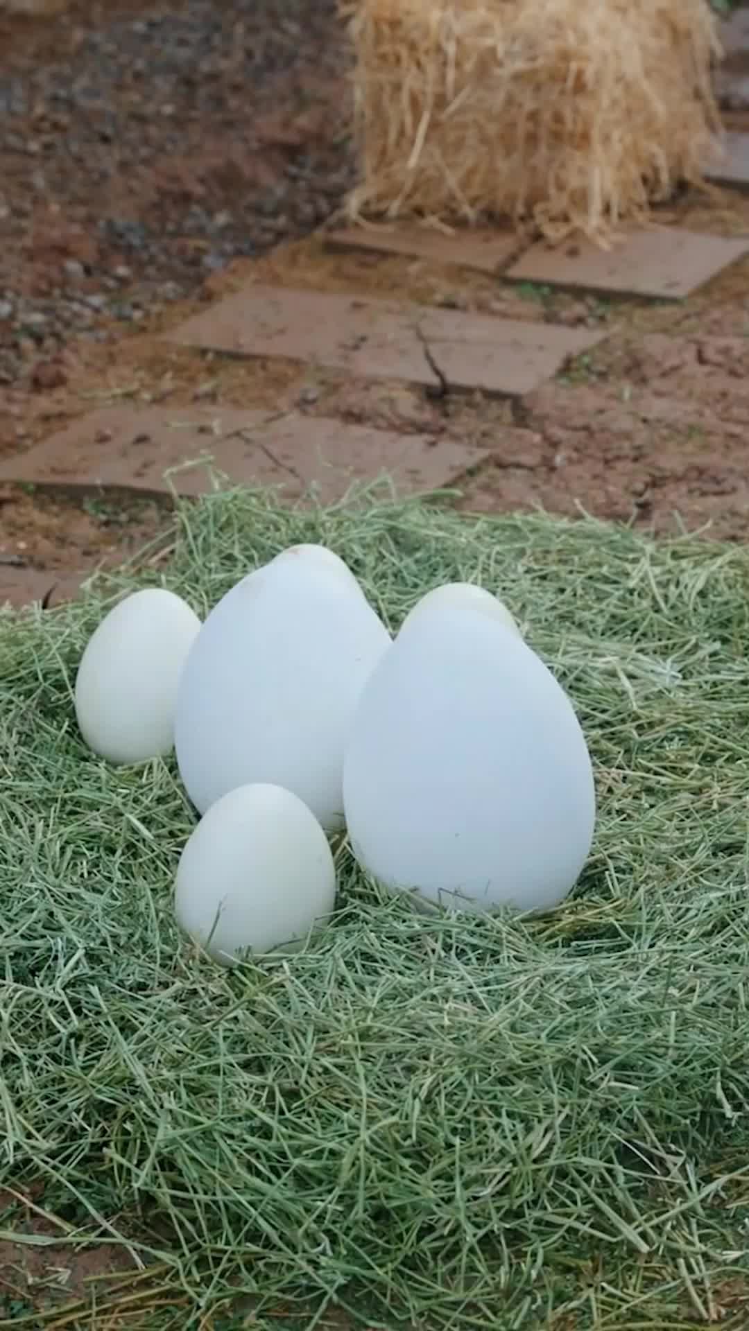 Bölüm 71