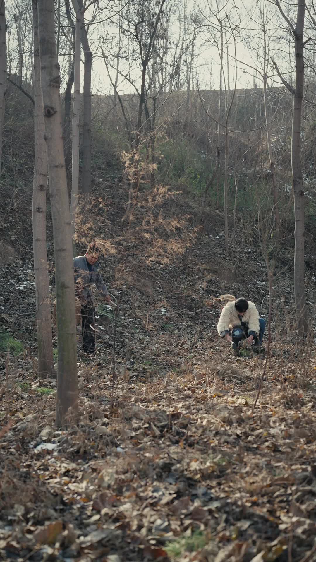 Bölüm 9